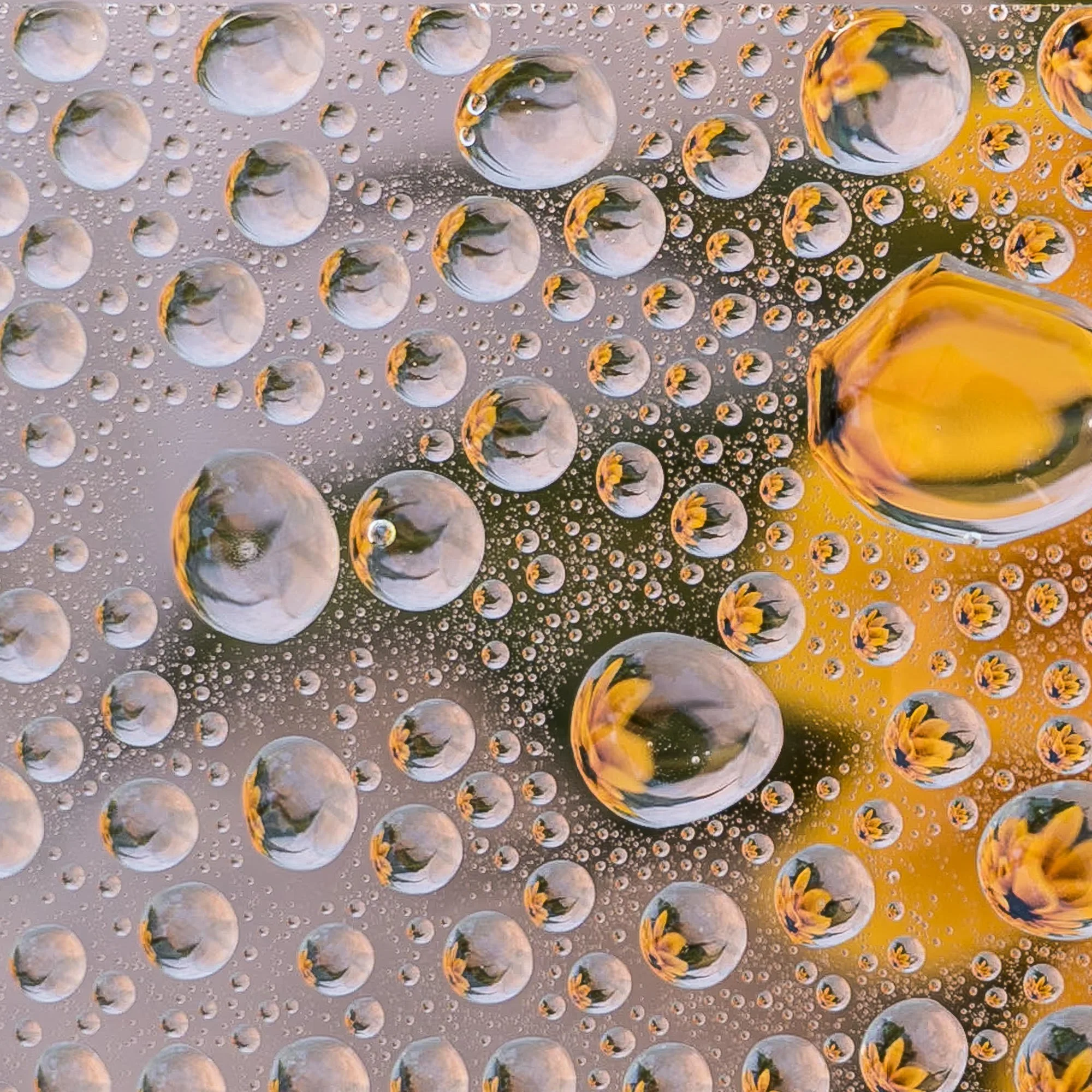 Drops #3 by Grace Hensley