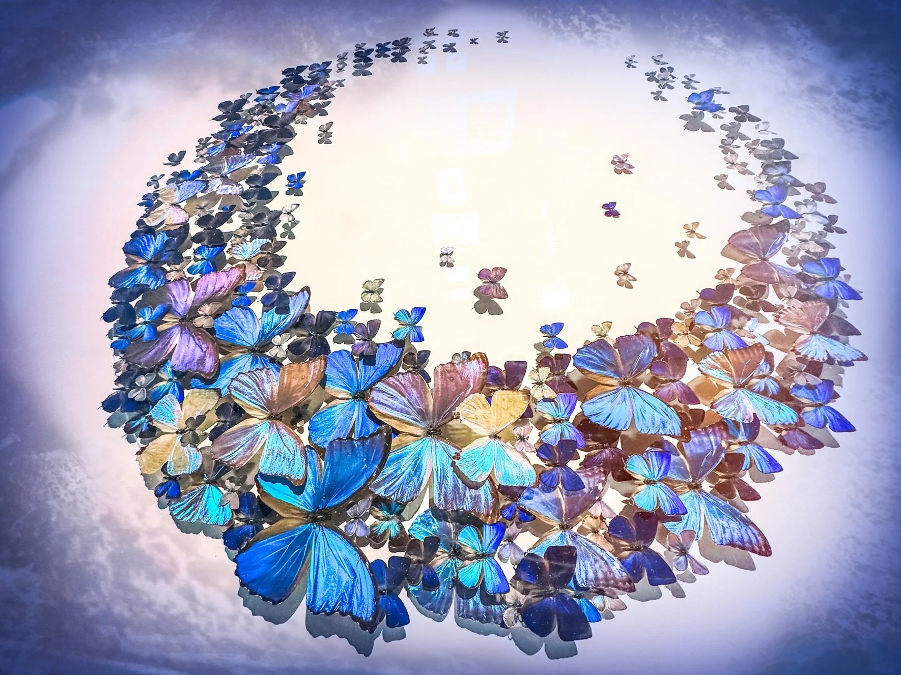 Fly Away by Rob Wagoner