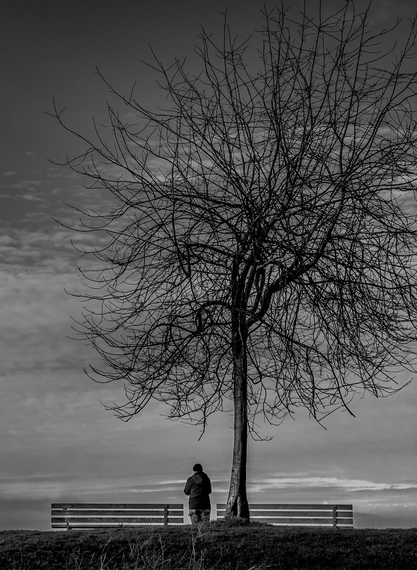 A Moment of Reflection by Tony Lam