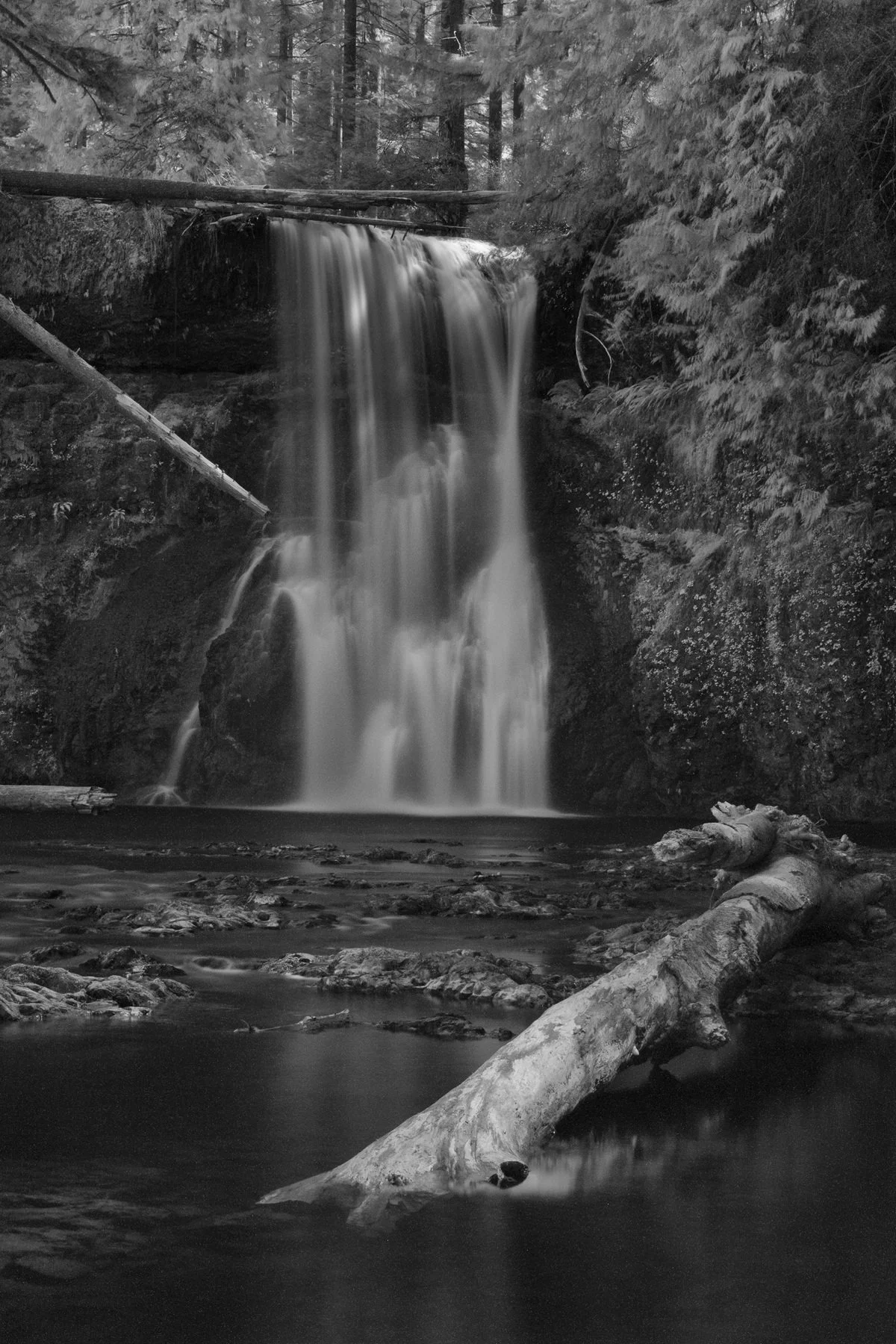 Silver Falls by Dorothy Rosenbladt