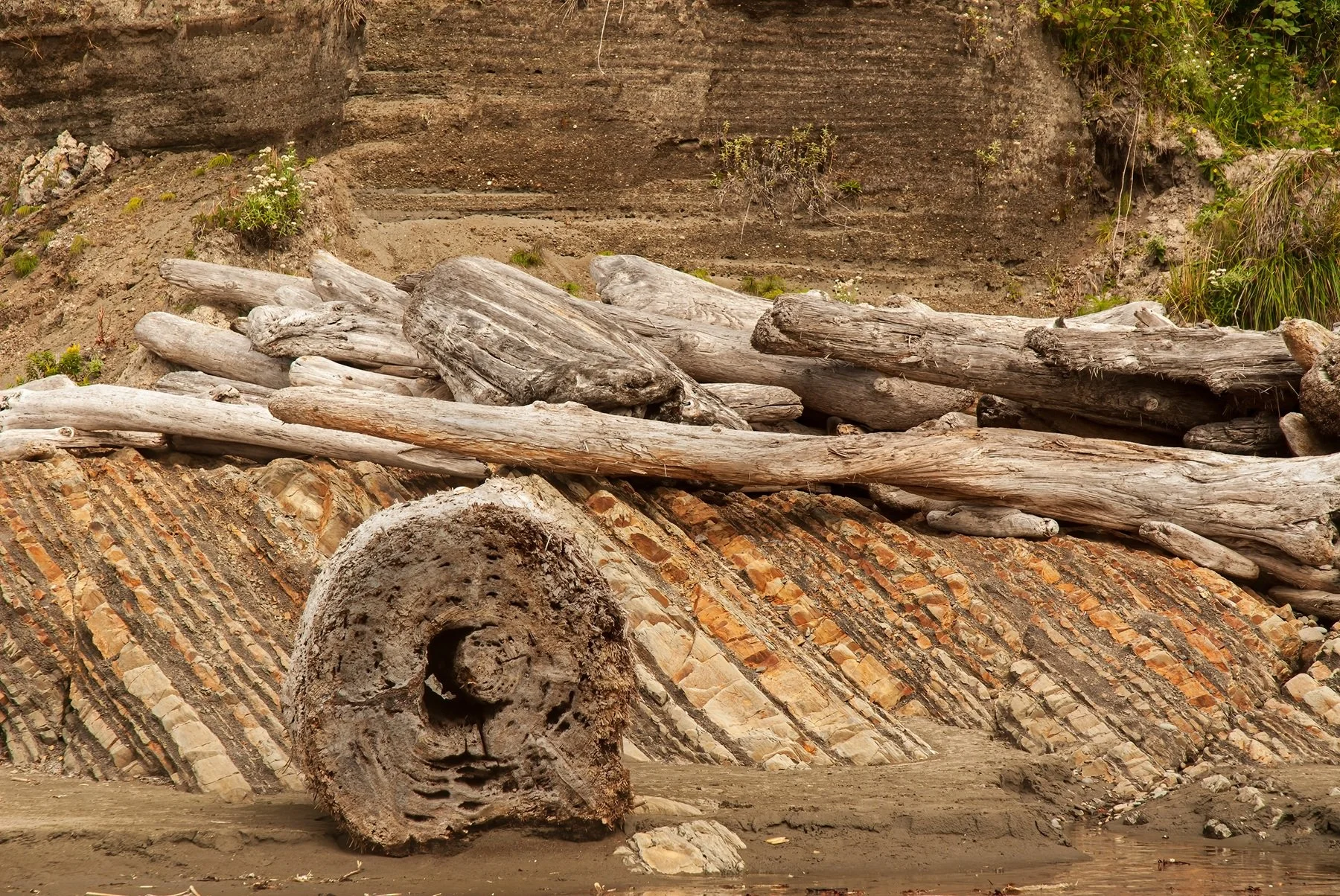 Olympic Beach (Before) by Glen Wyatt