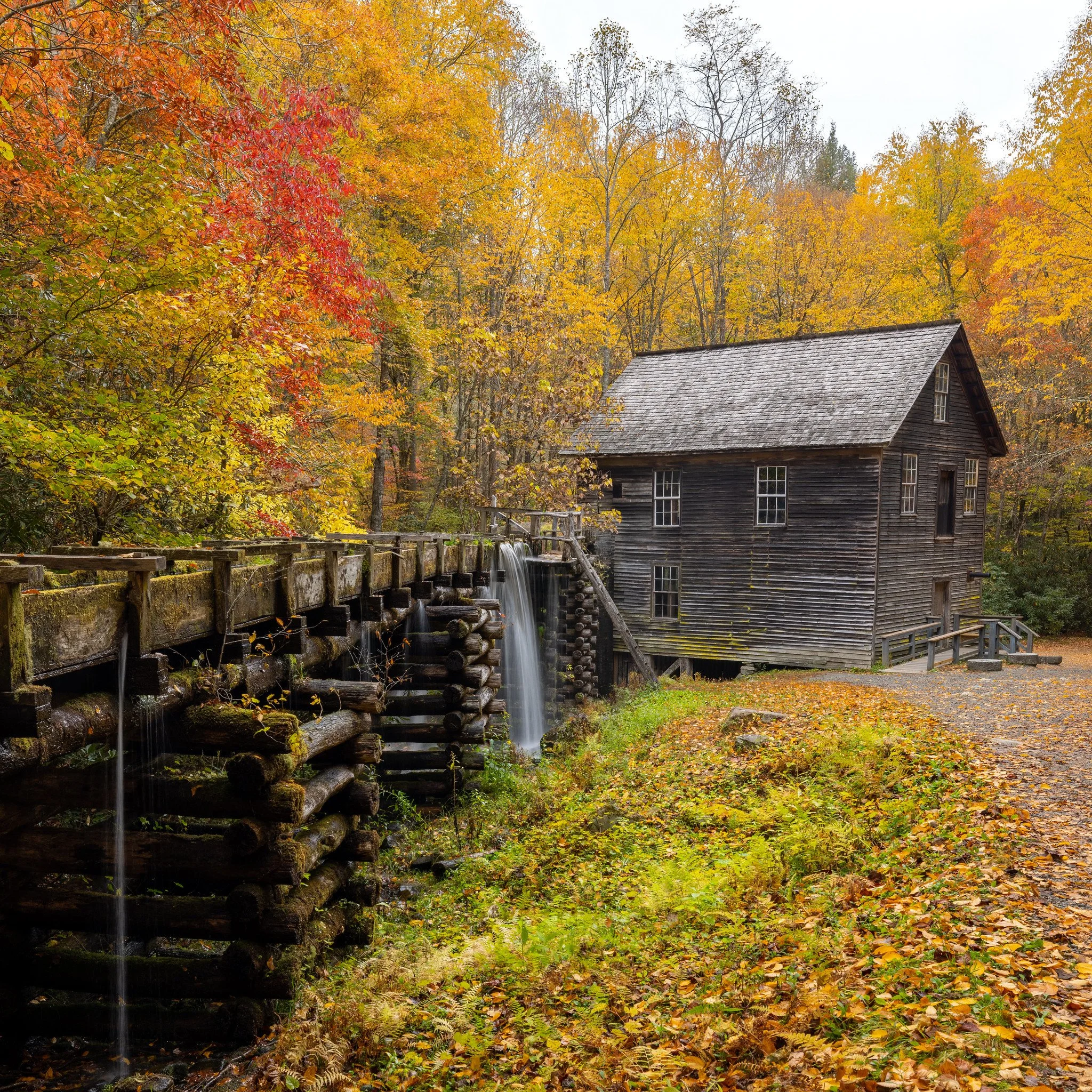 An old wooden mill house with a water wheel in an autumn forest with colorful fall foliage.