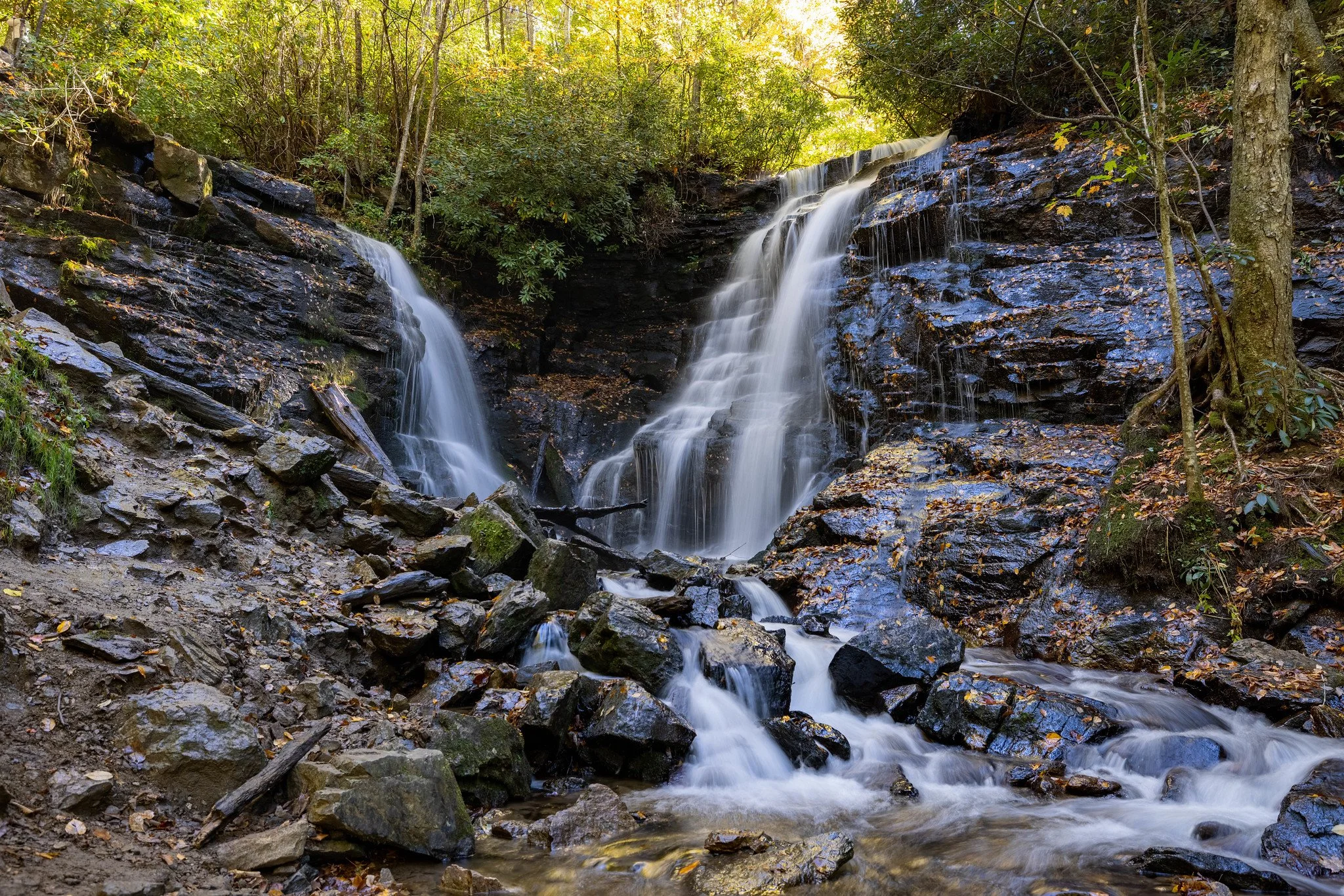 A waterfall flowing over dark rocks surrounded by green trees and foliage in a forest setting.