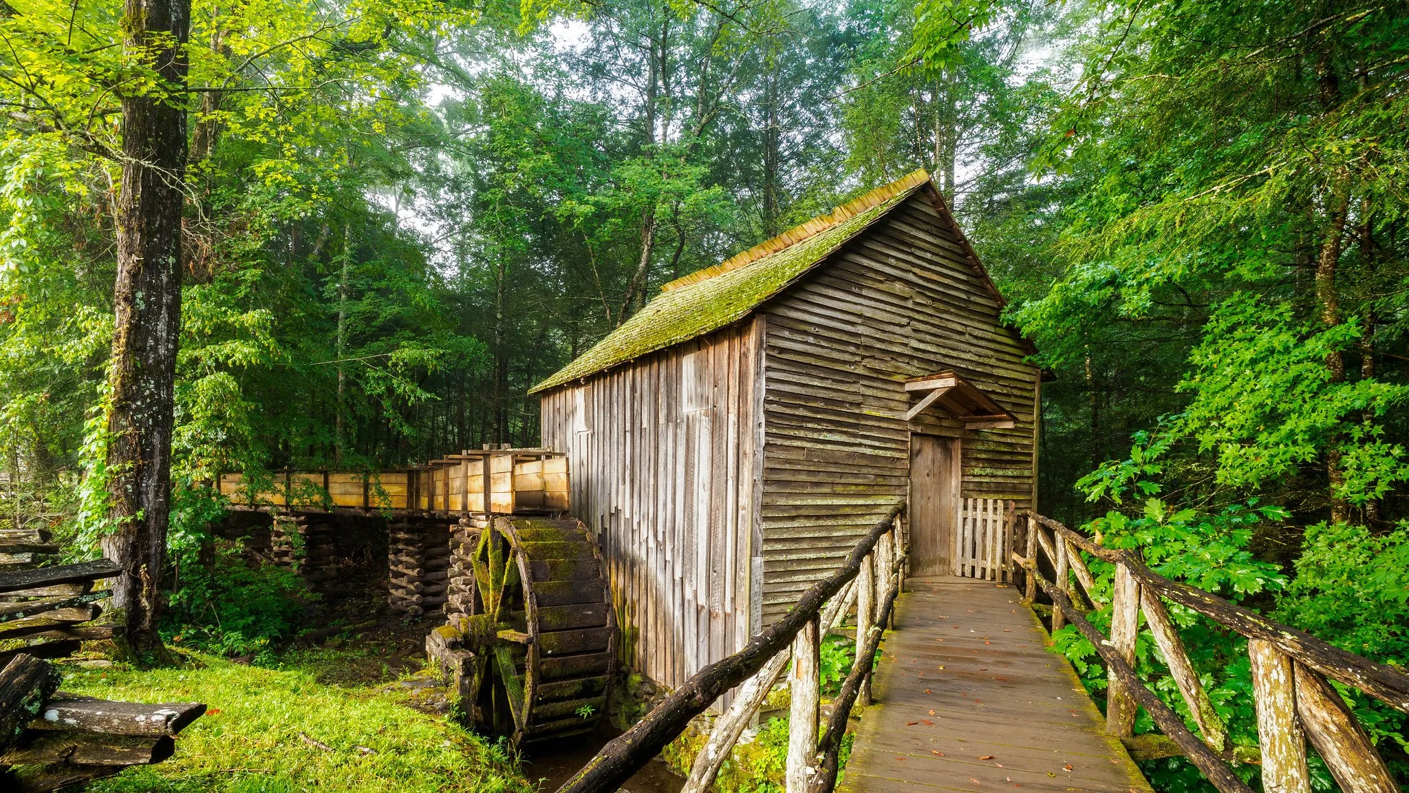 Old wooden watermill with a small bridge in a lush green forest.