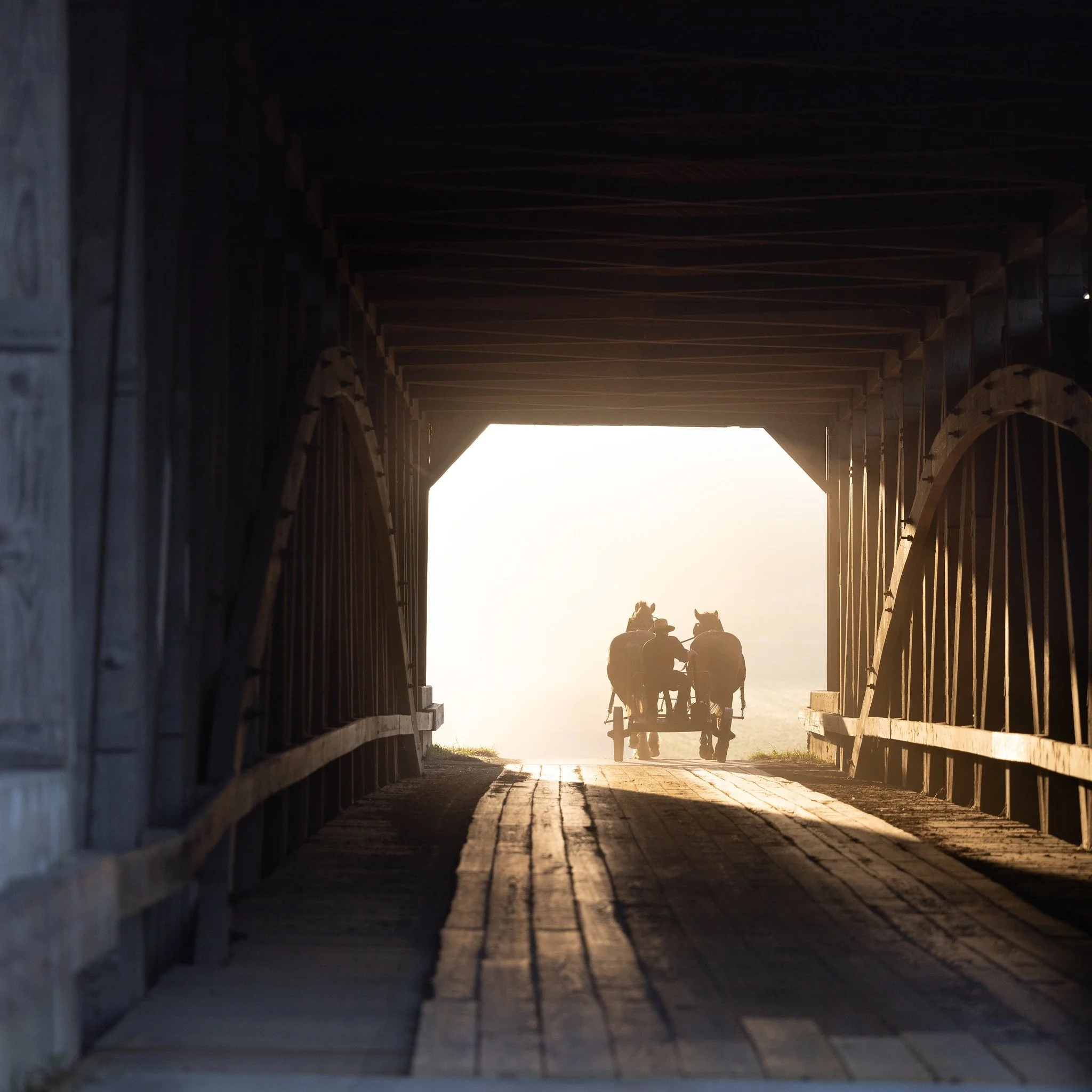 View from inside a wooden covered bridge looking out towards a horse-drawn carriage silhouetted against a bright sky.