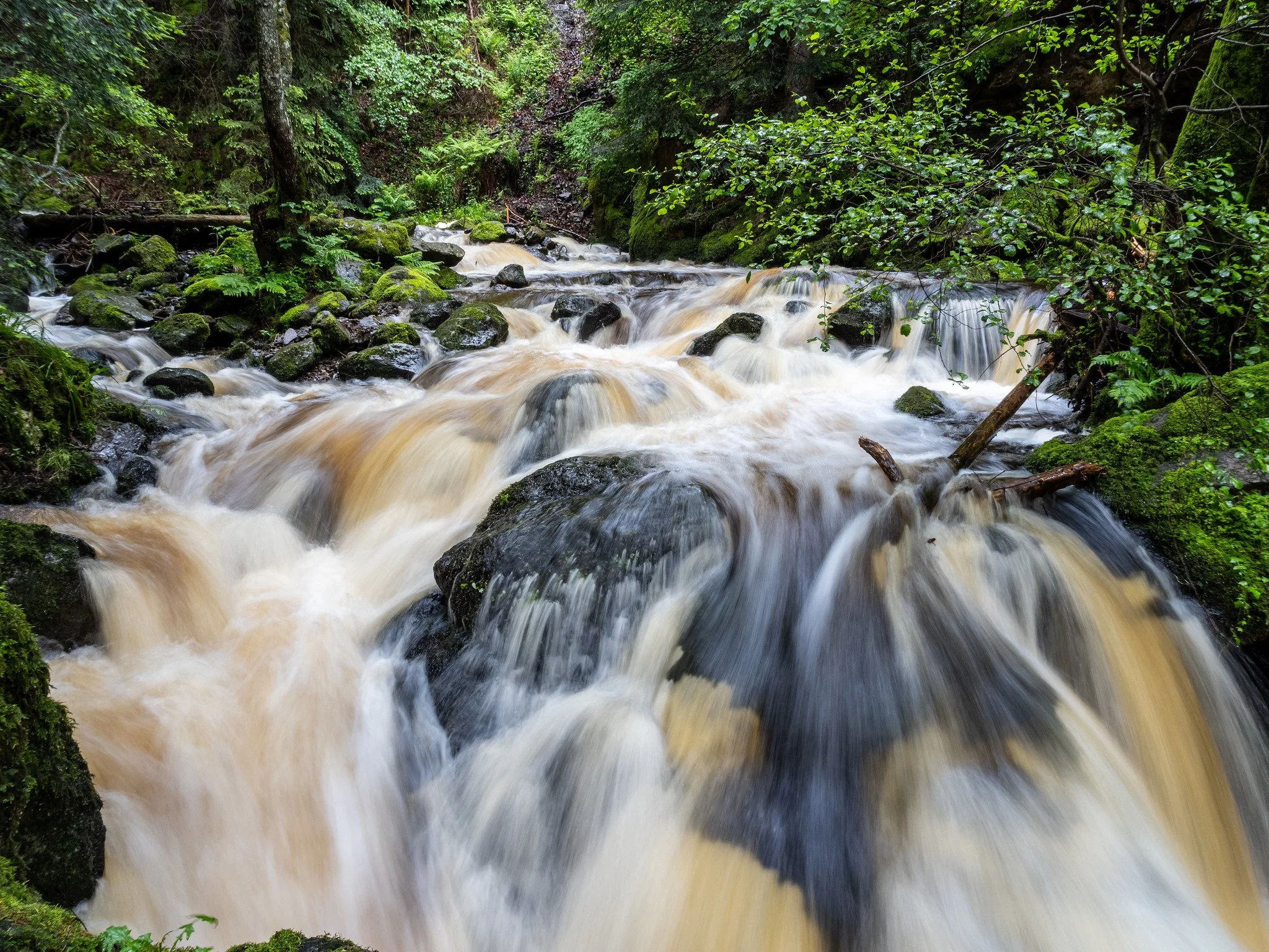 A rushing mountain stream flowing over rocks in a lush, green forest.