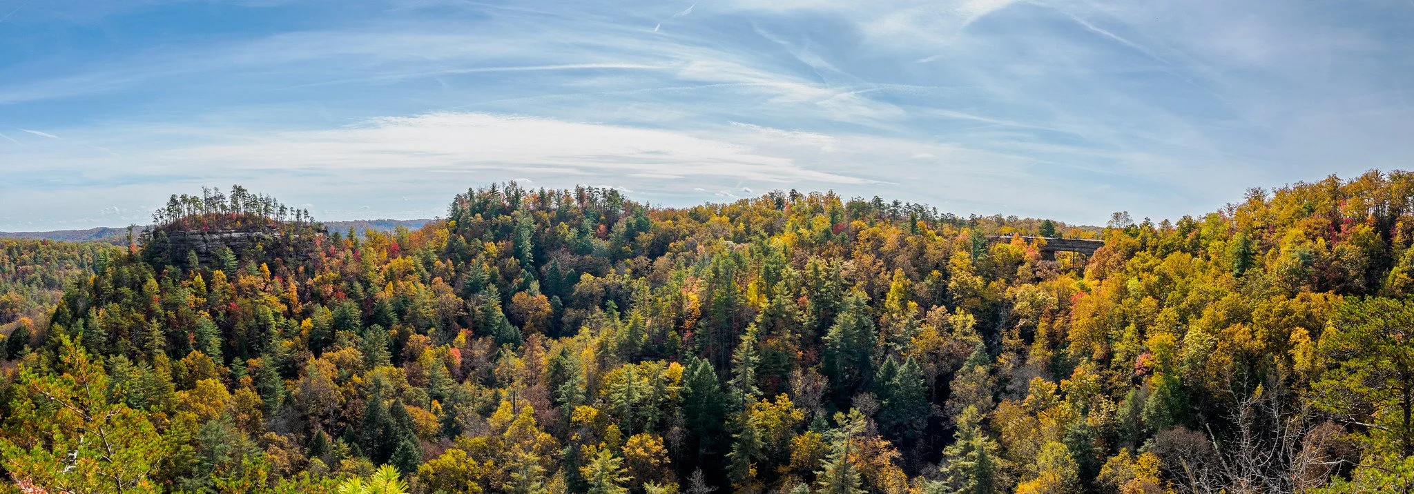 A panoramic view of a forested landscape during fall, with trees displaying green, yellow, orange, and red leaves, hills in the distance, and a partly cloudy sky.