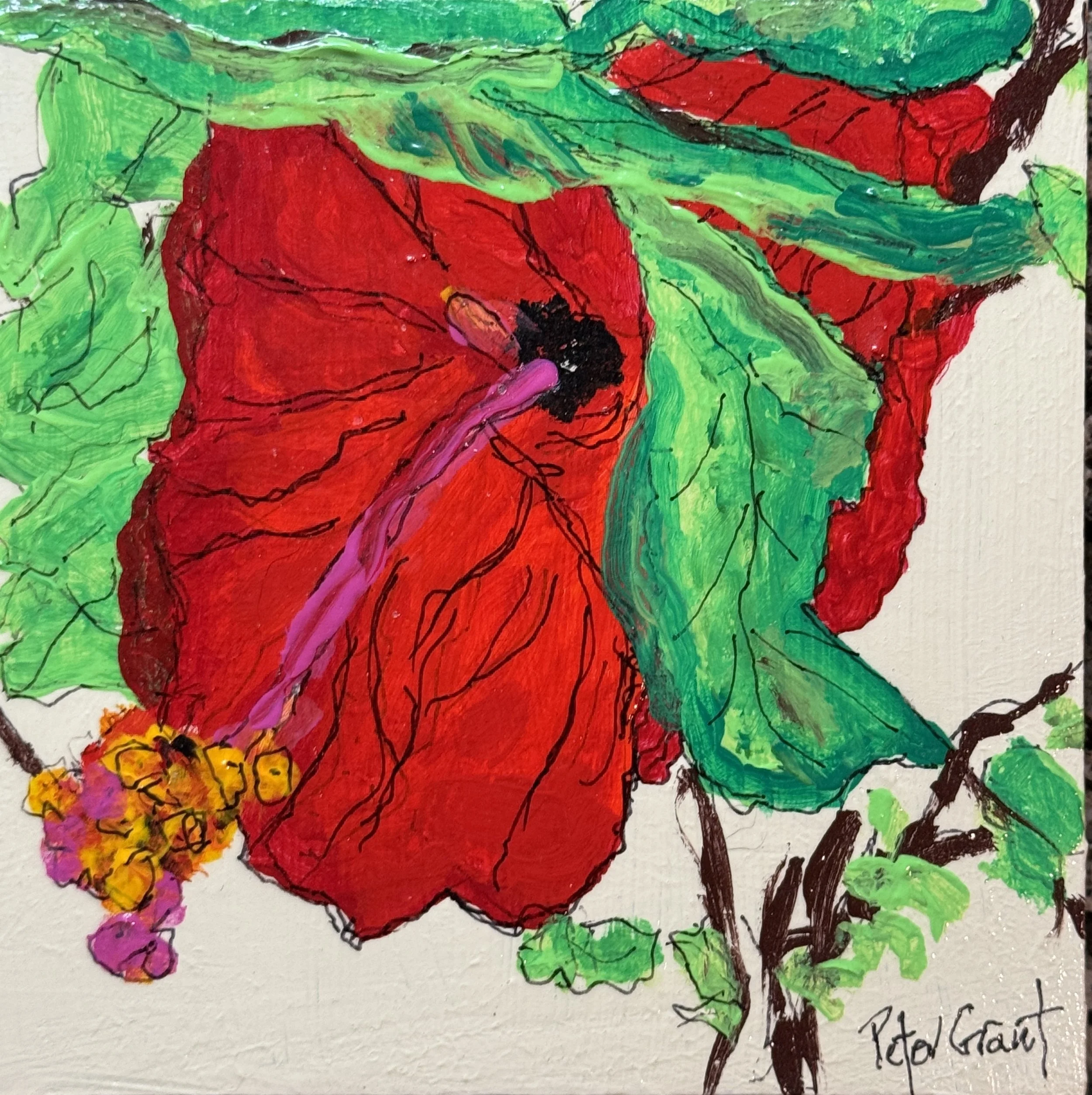 Hi Biscuit 5 on Board  