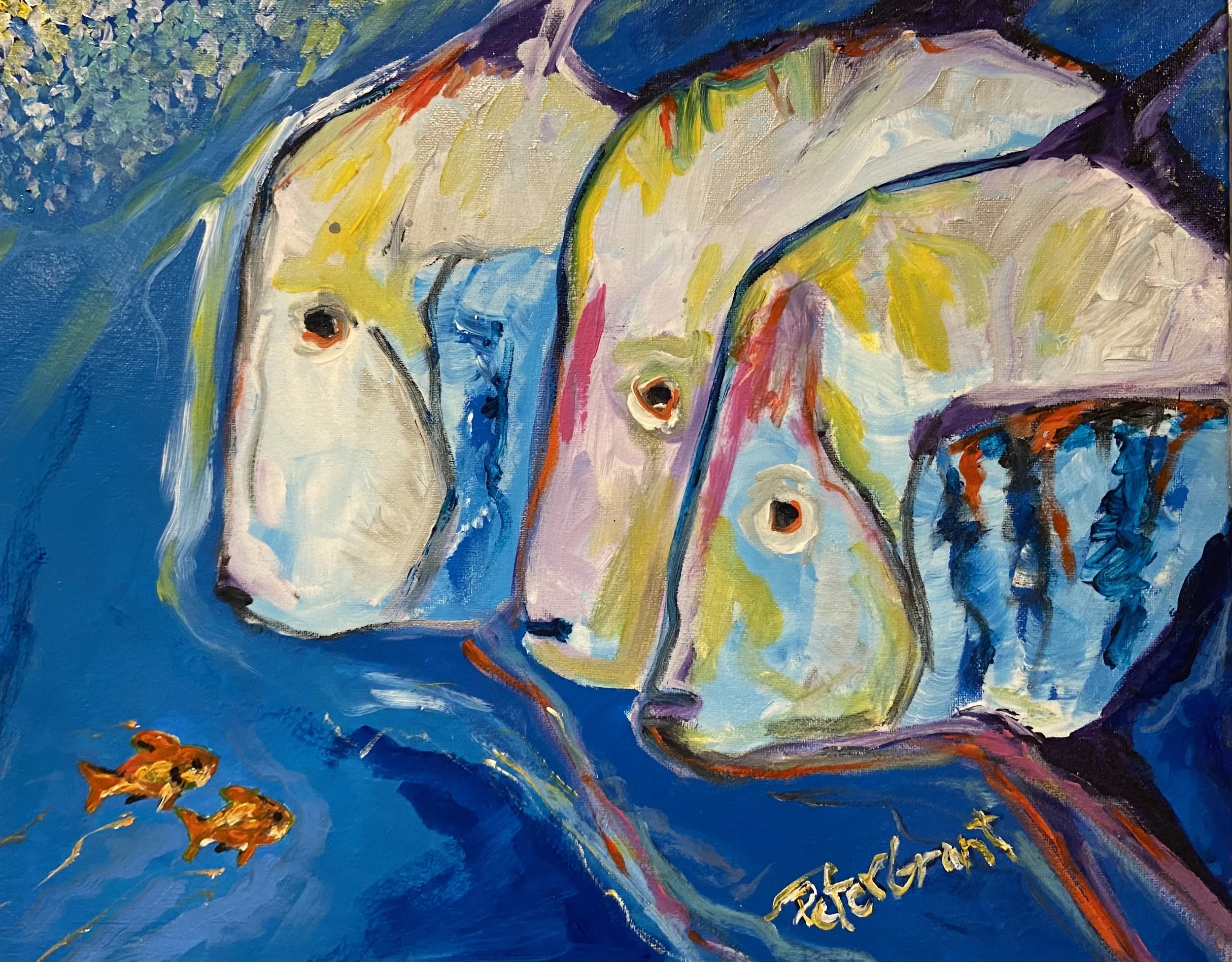 Lookdown Fish   16"x20'  Available 