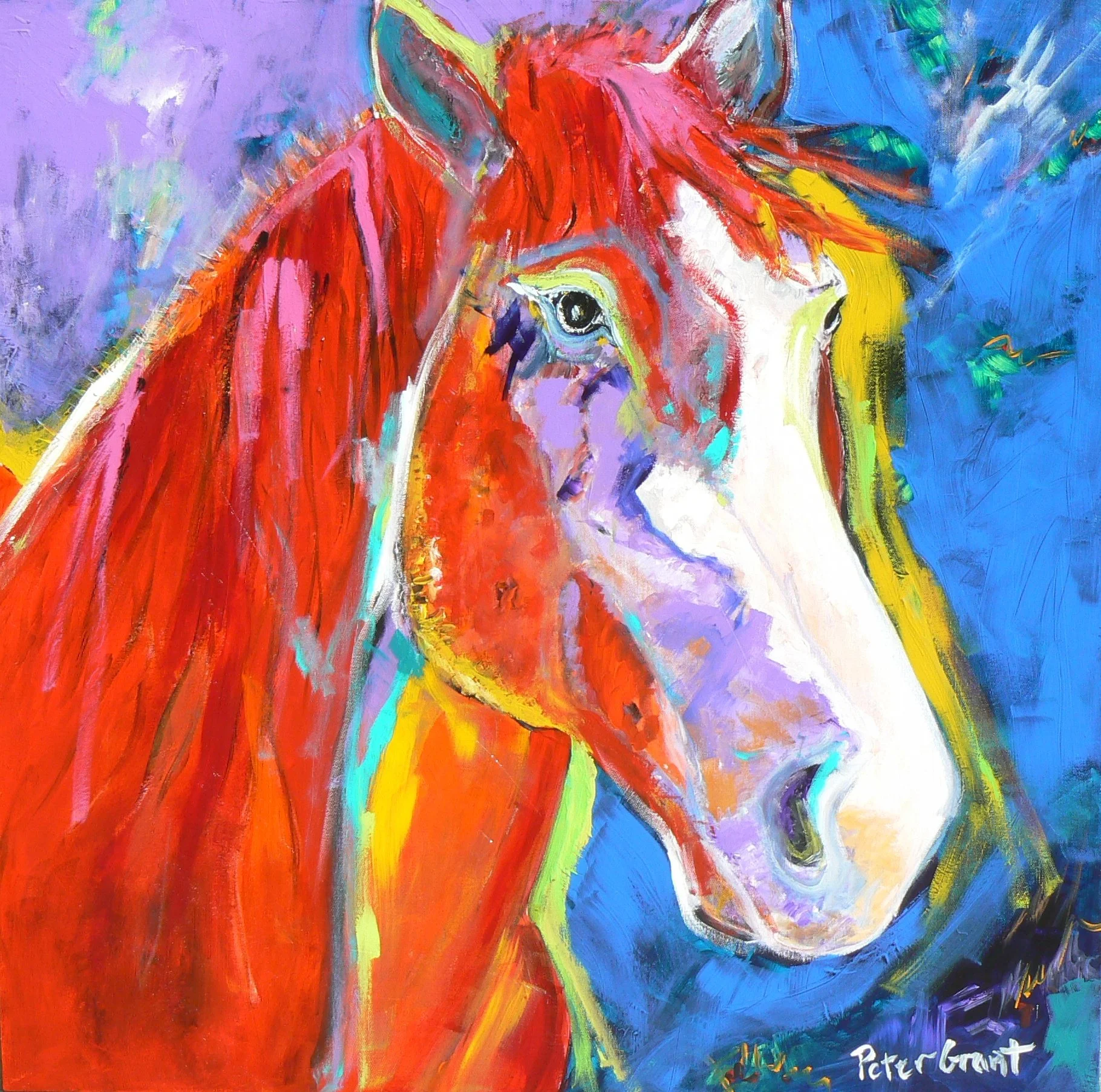 Jennie"s Horse  30'x30"  Sold 