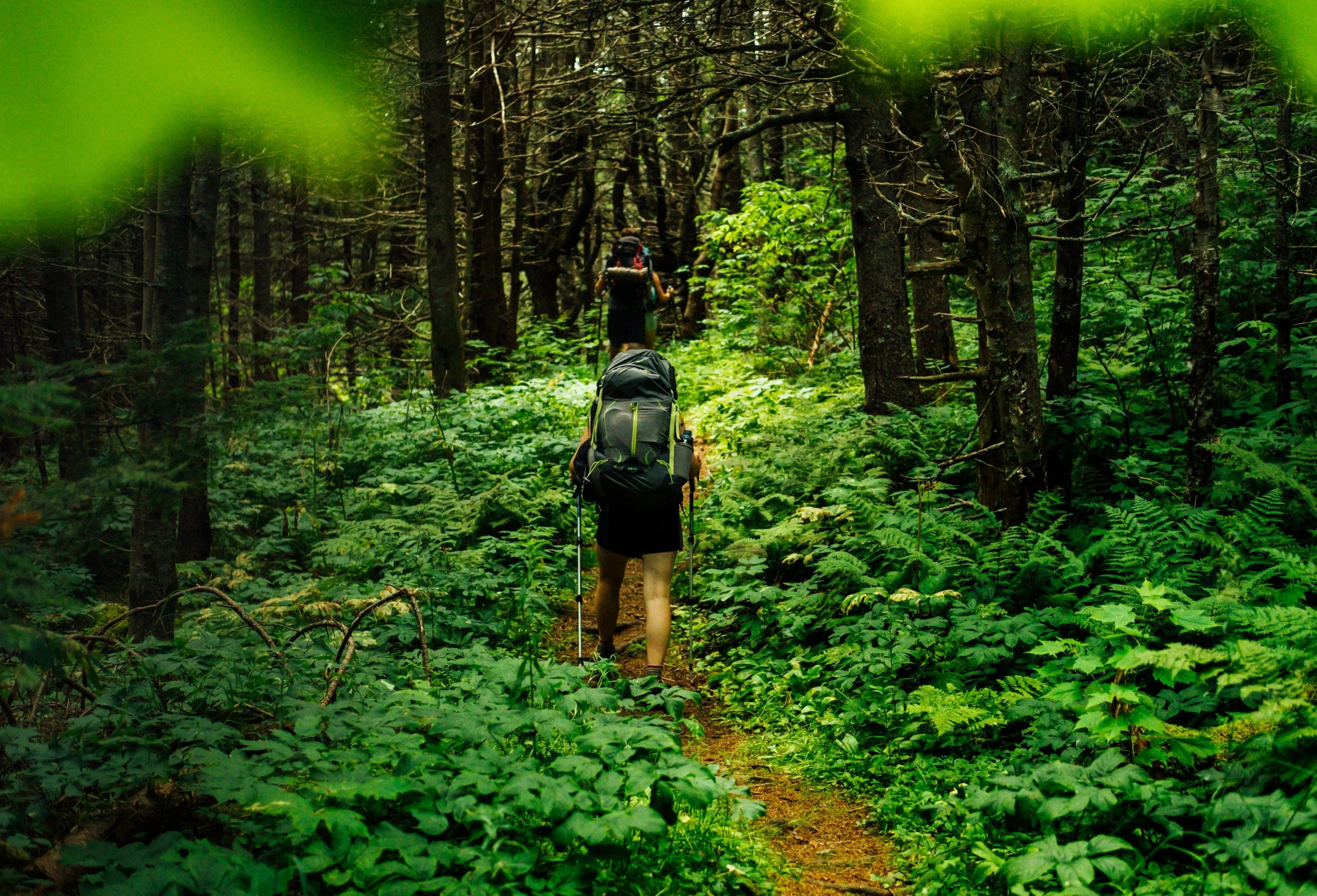 Acupuncture: Injury care and prevention for hikers and outdoor enthusiasts