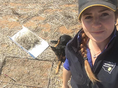 Preparing for planting 2016