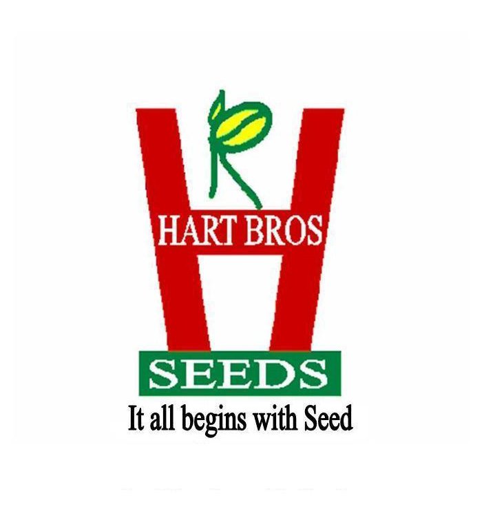 Space Hart Bros Seeds logo.jpg