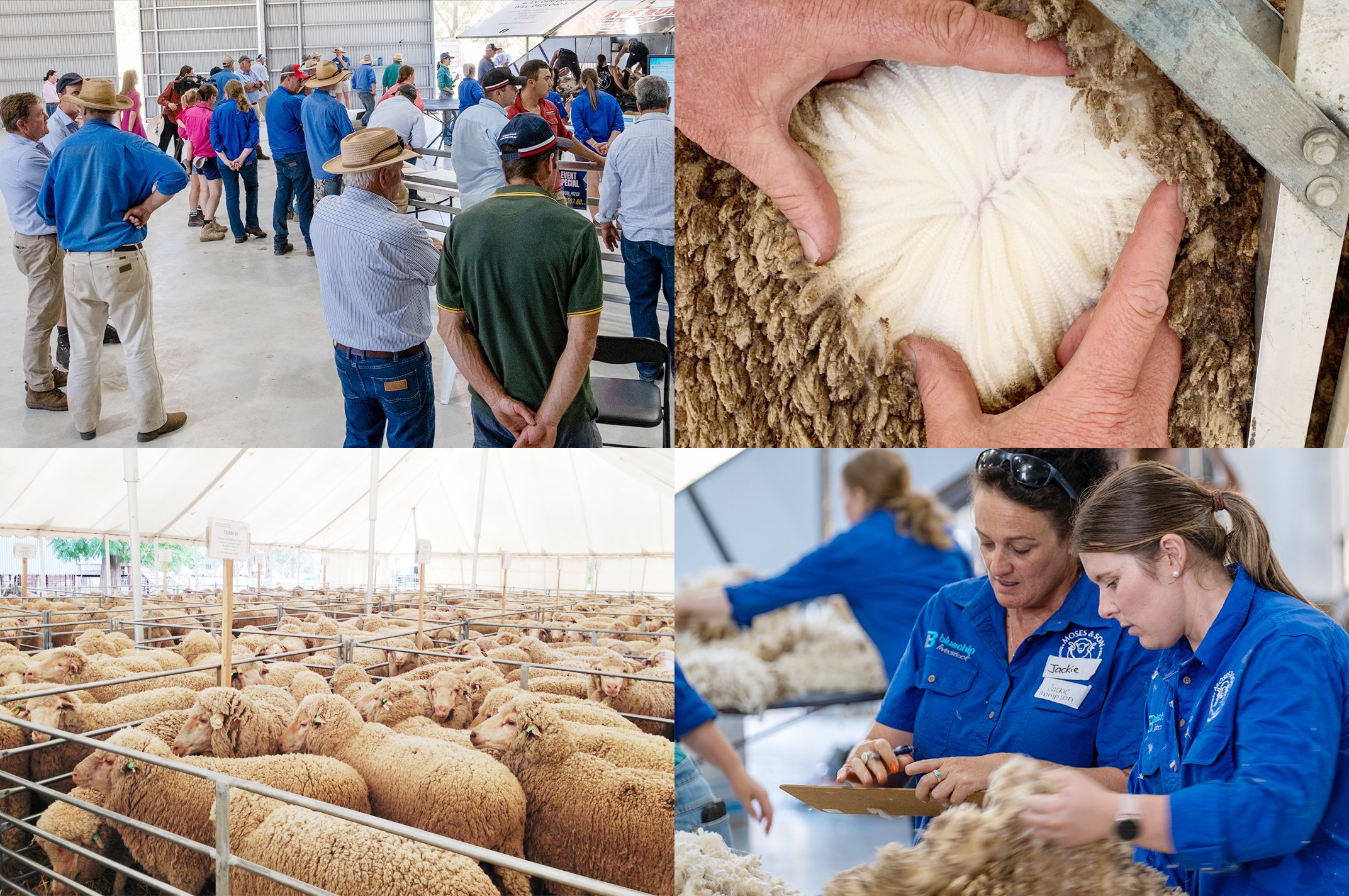 AMPT Shearing Event – TAIC 20-21 Feb
