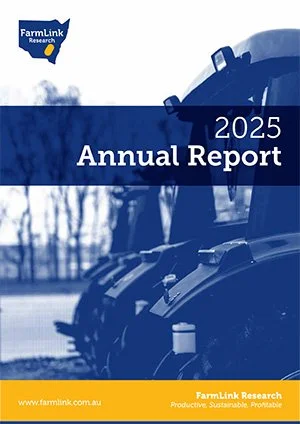 Annual Report 2025