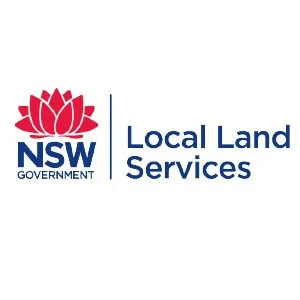 LLS-logo-100.jpg
