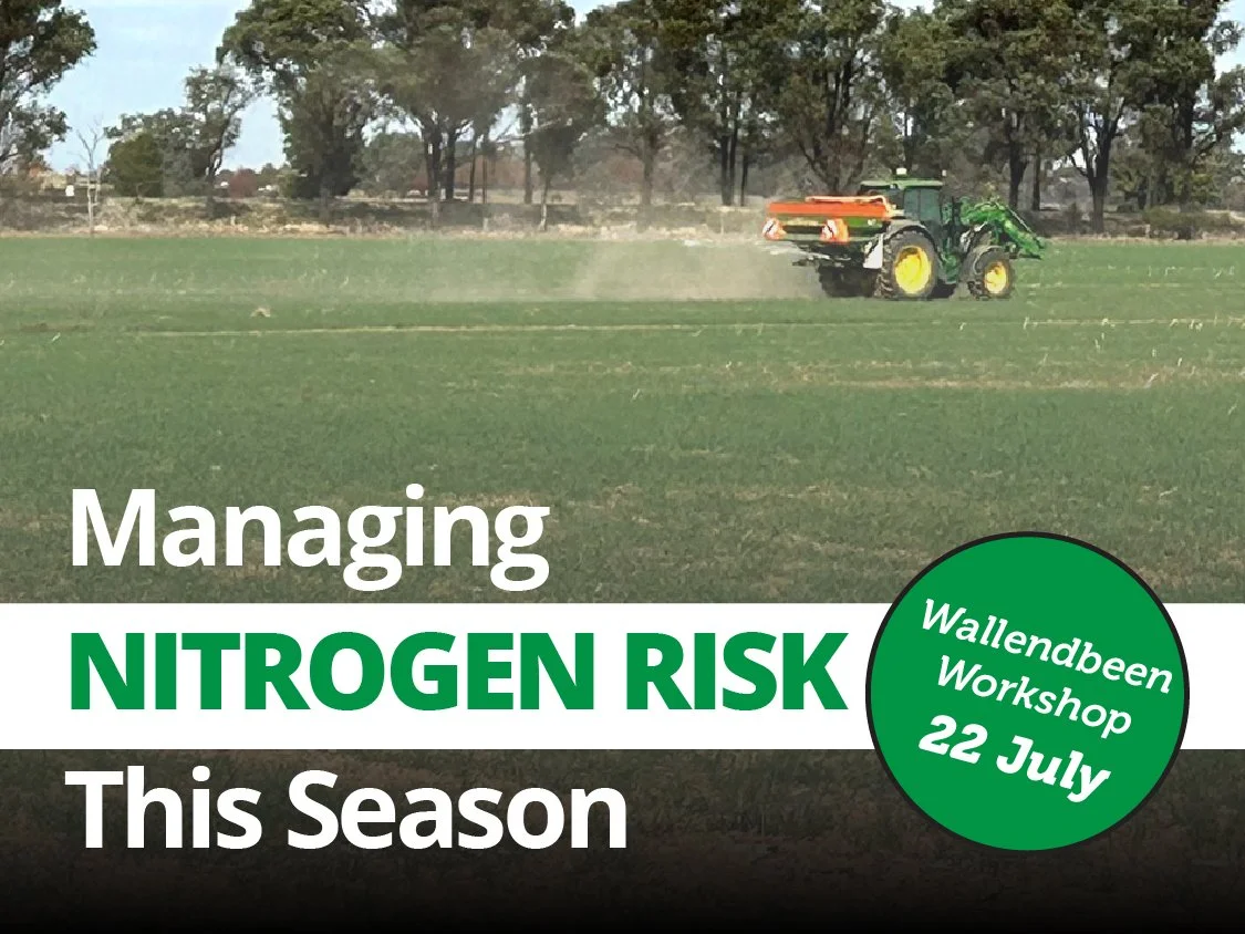 National RiskWi$e Conference 2026 &amp; Wallendbeen Workshop