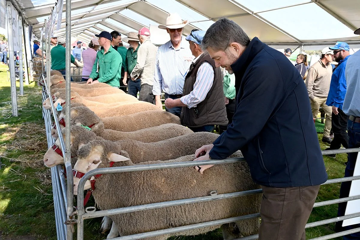 DSC_1251-copy.jpg