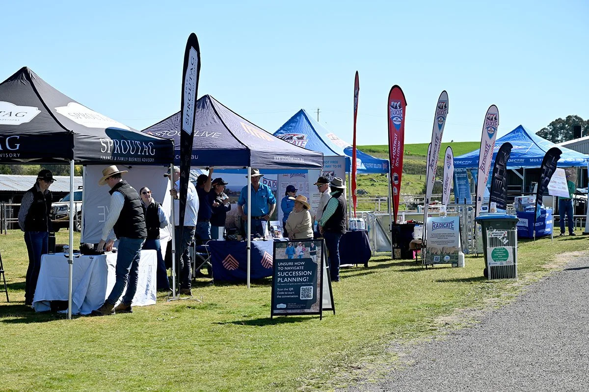 DSC_1277-copy.jpg