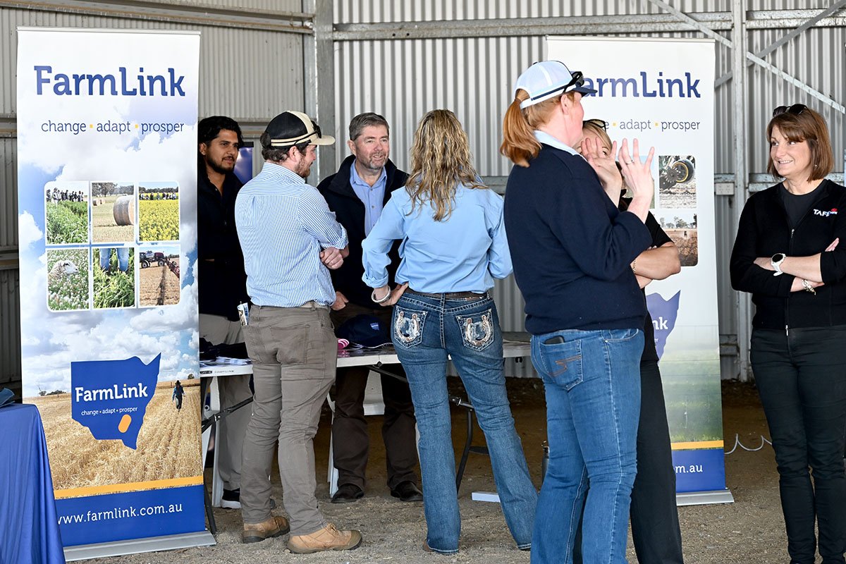 SWS Stud Merino Breeders Field Day!