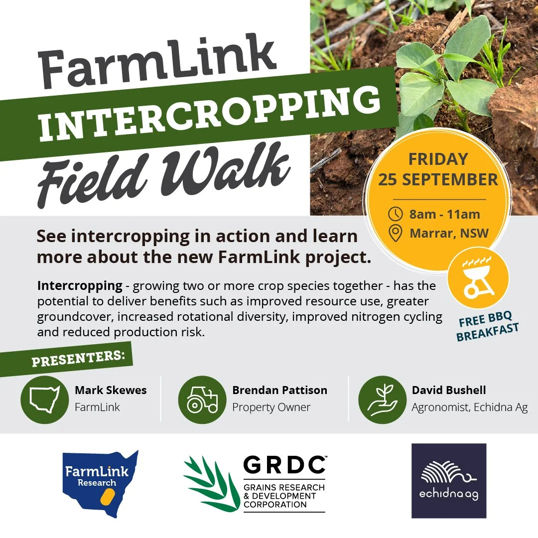 FarmLink Intercropping Field Walk