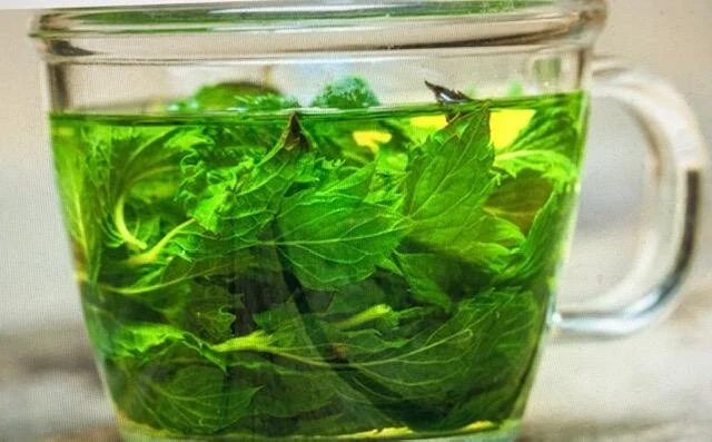 SpearmintTea.jpg