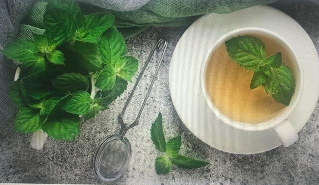 PEPPERMINT TEA