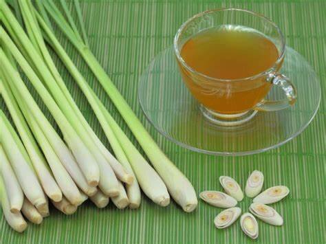 LEMONGRASS/ FEVERGRASS TEA