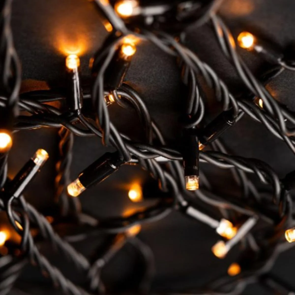 Growing Fairy Lights 2200K