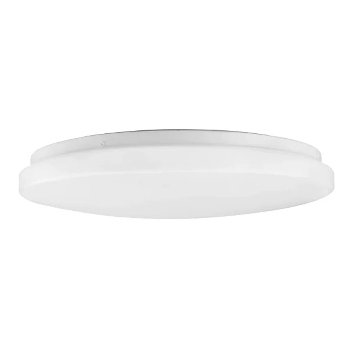 Venus_Oyster.jpg (Copy)