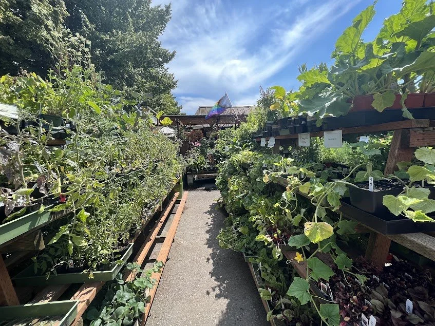 Herbs and Vegetables — West Seattle Nursery
