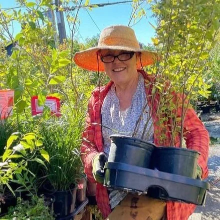 How to Use Native Plants in the Landscape with Kyle