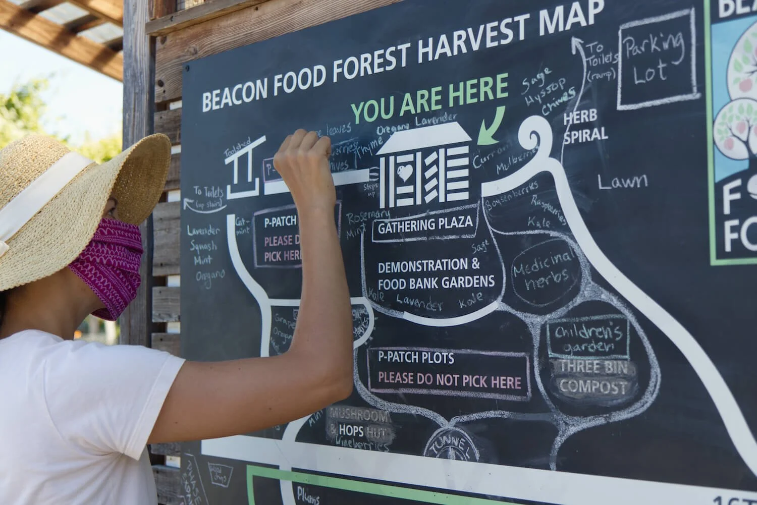 Third Saturday Work Party at Beacon Food Forest