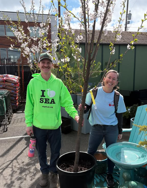 Fruit Tree Planting and Early Fruit Tree Care Basics [City Fruit]