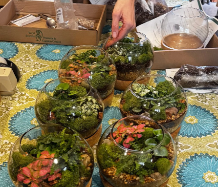 Spring Terrarium Workshop