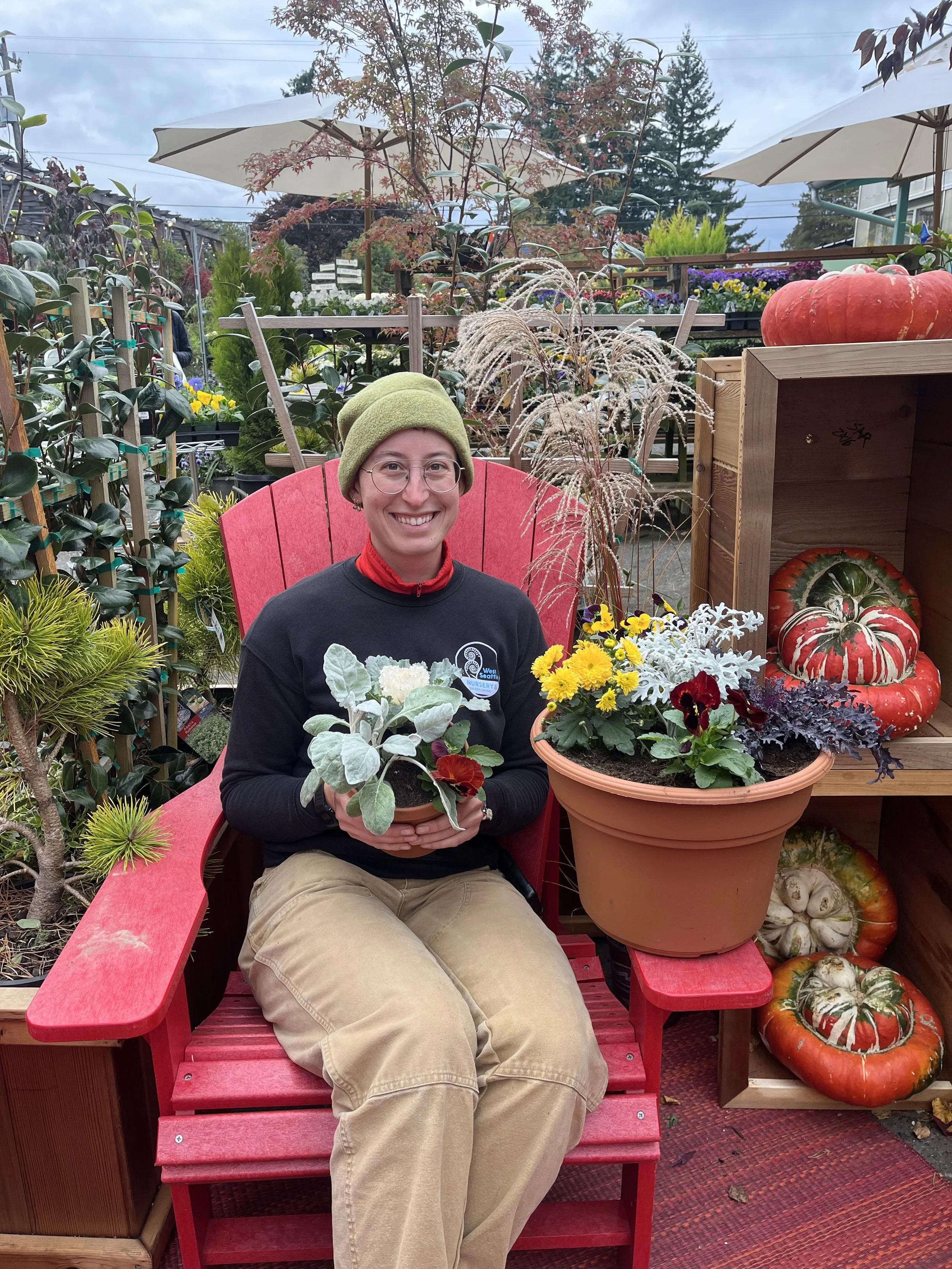 Pot Your Own Fall Annuals at West Seattle Nursery