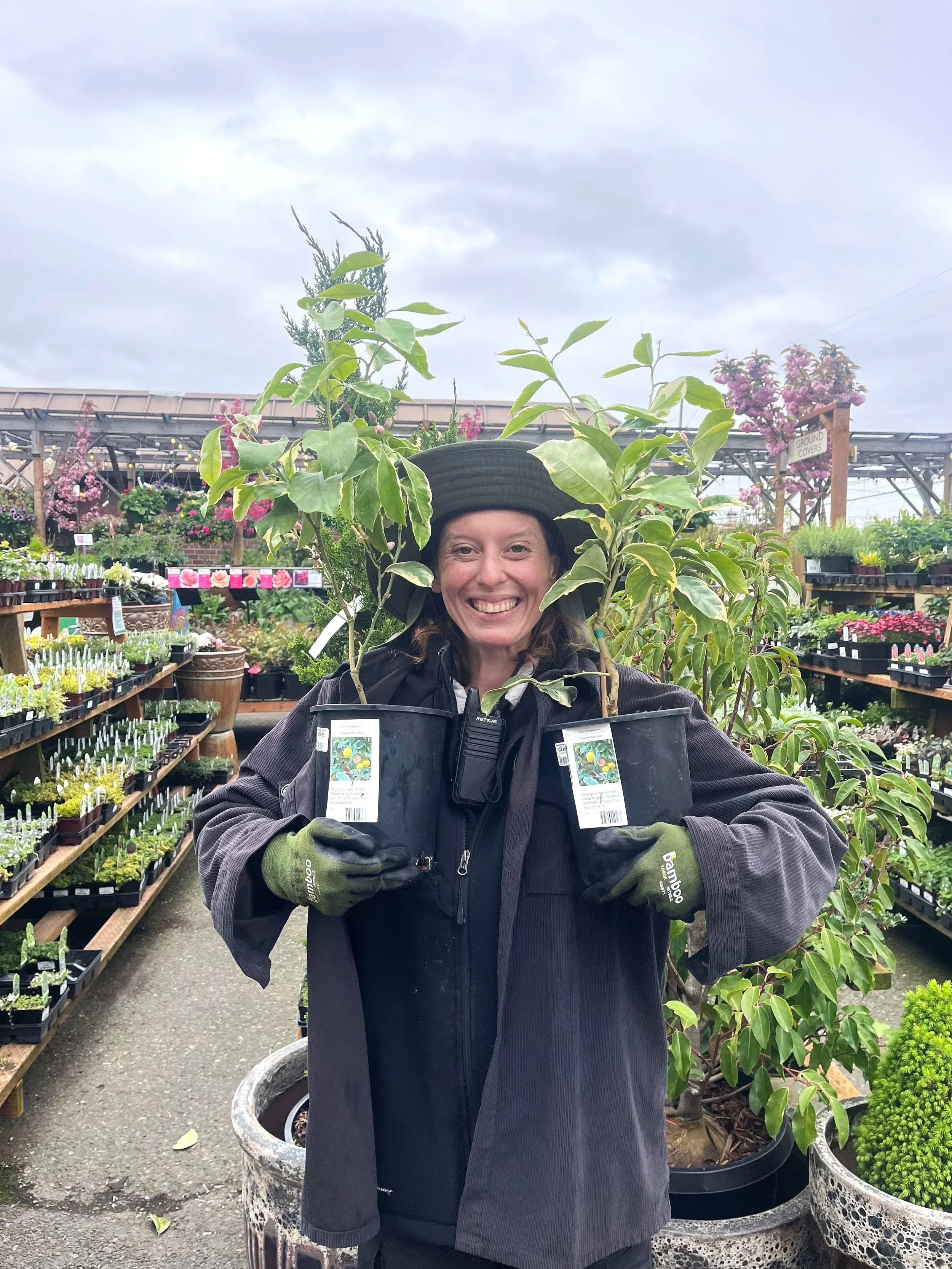 Citrus in Seattle