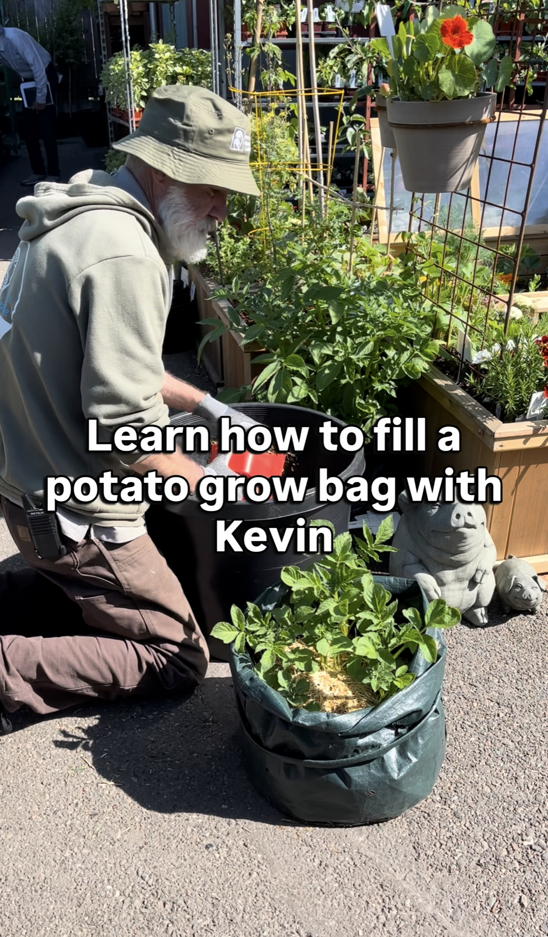 How to Grow Potatoes in a Potato Grow Bag