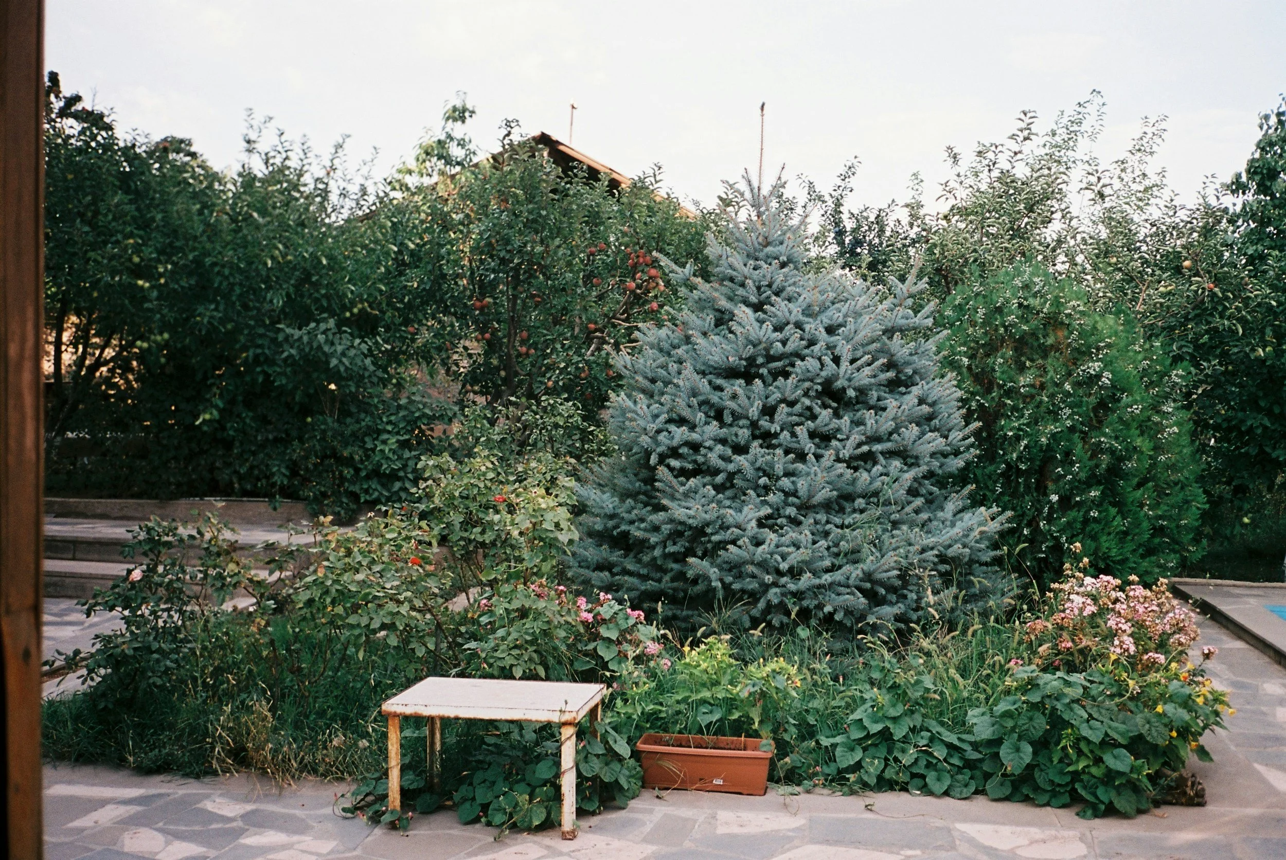 The Tree That Changes Everything: How to Choose, Place &amp; Grow Trees for a More Beautiful, Comfortable, and Valuable Home