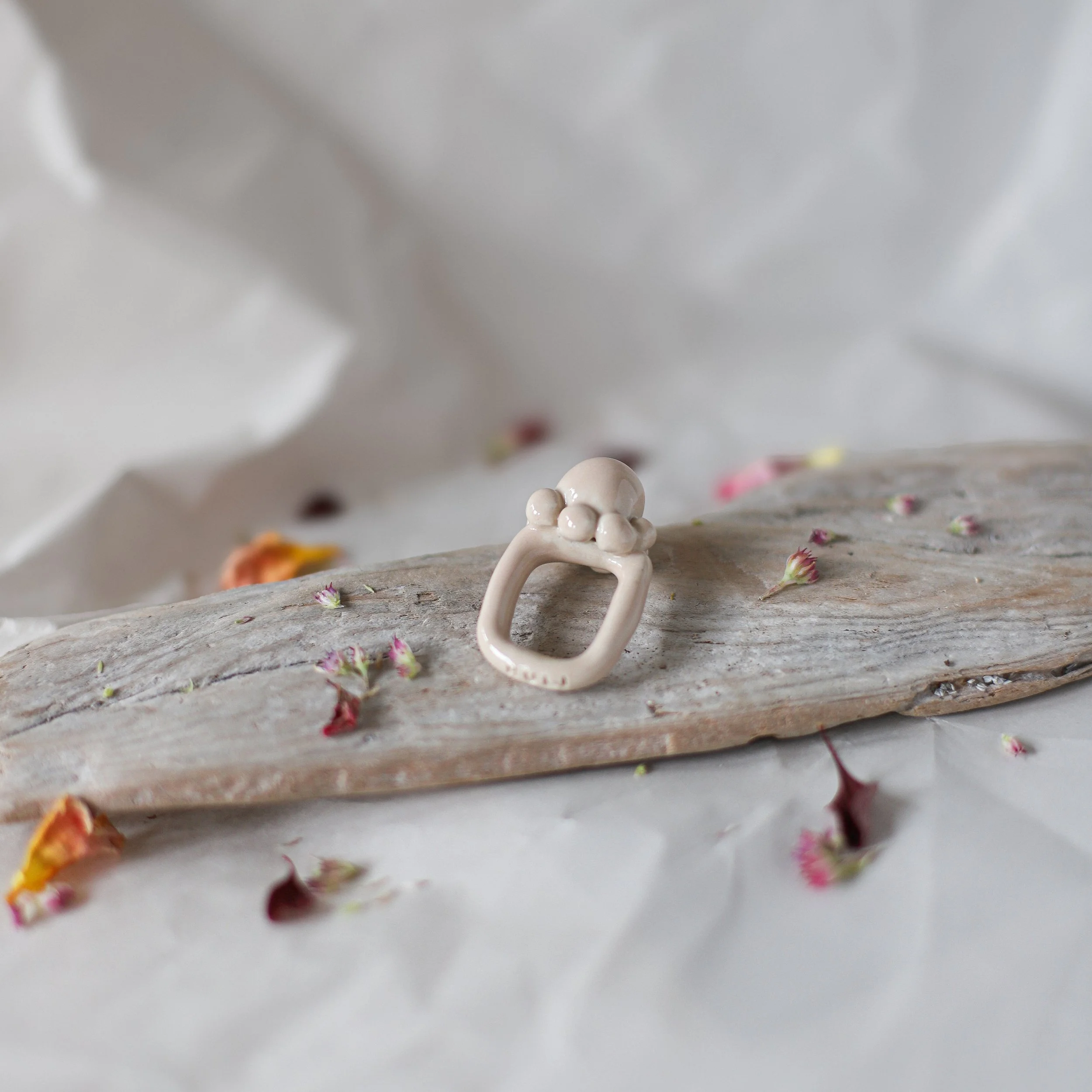 HULI_rings_fall2026-01.jpg