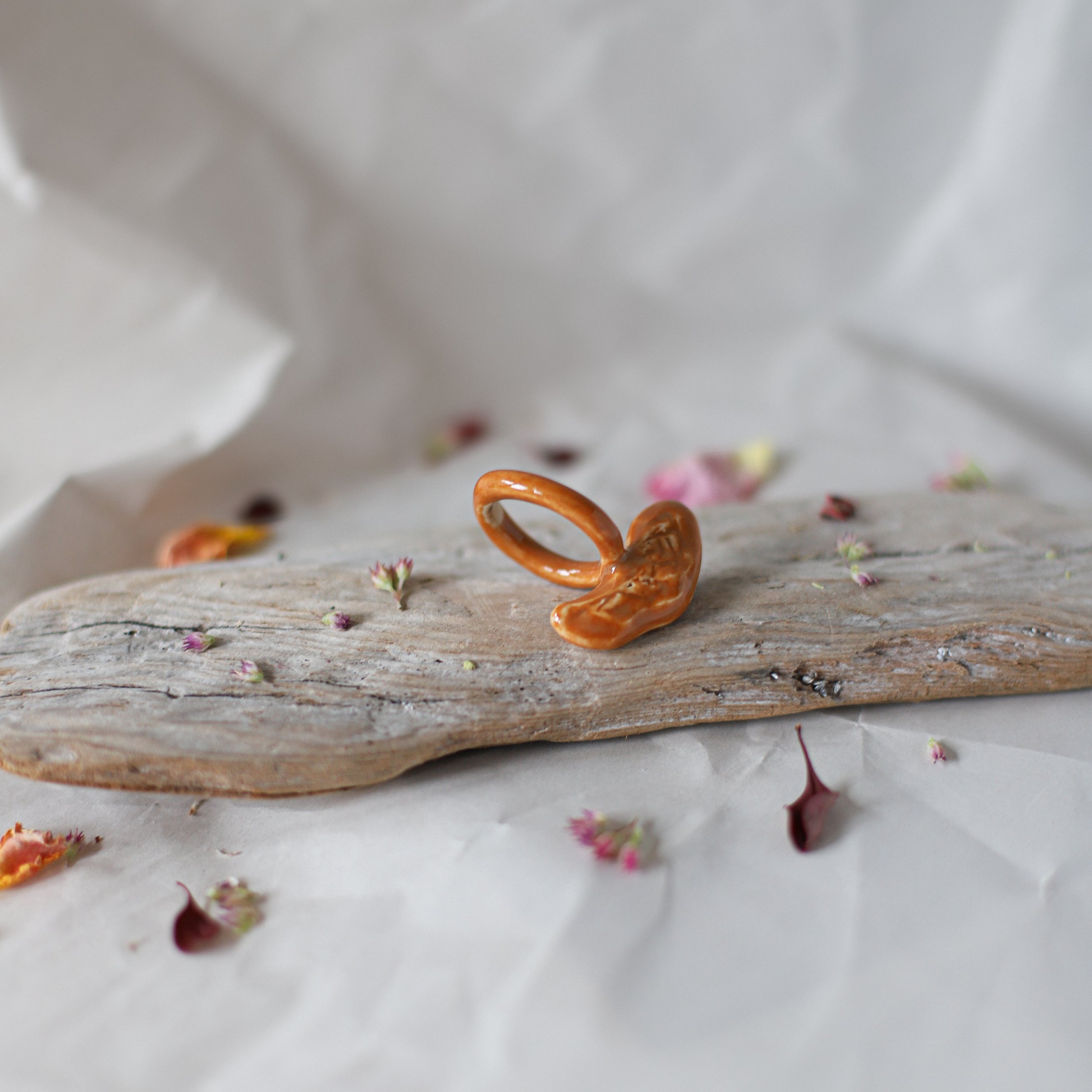 HULI_rings_fall2026-02.jpg