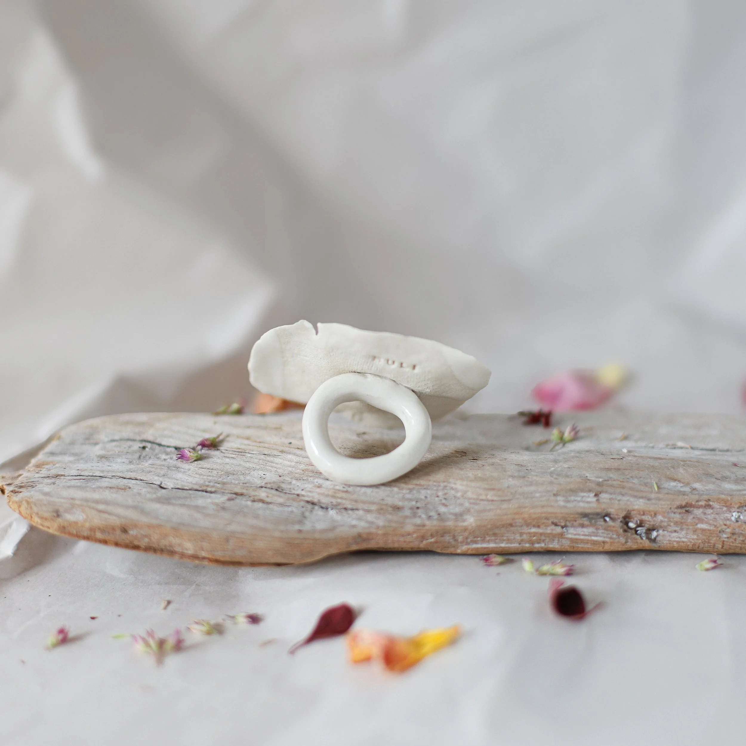 HULI_rings_fall2026-16.jpg