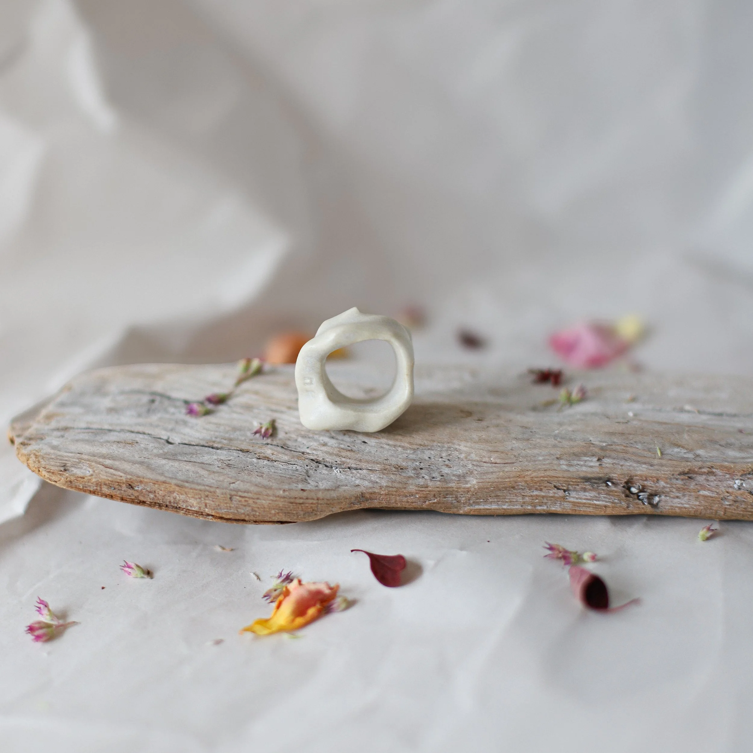 HULI_rings_fall2026-10.jpg