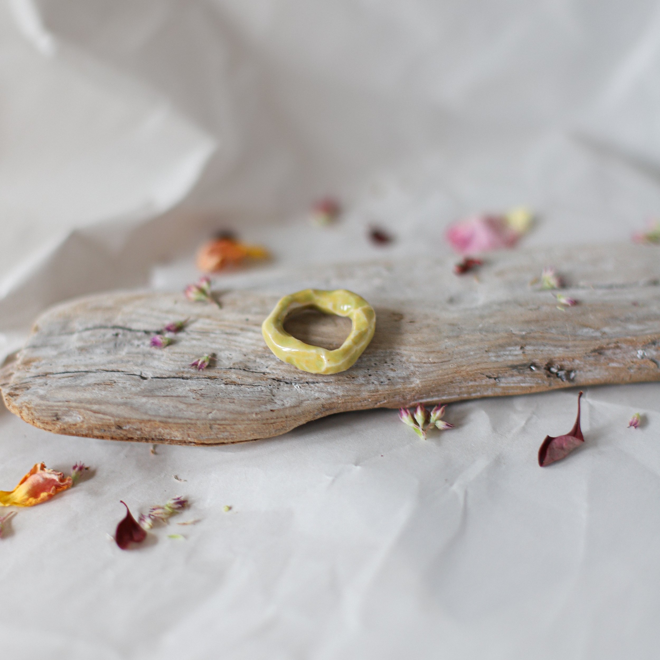 HULI_rings_fall2026-03.jpg