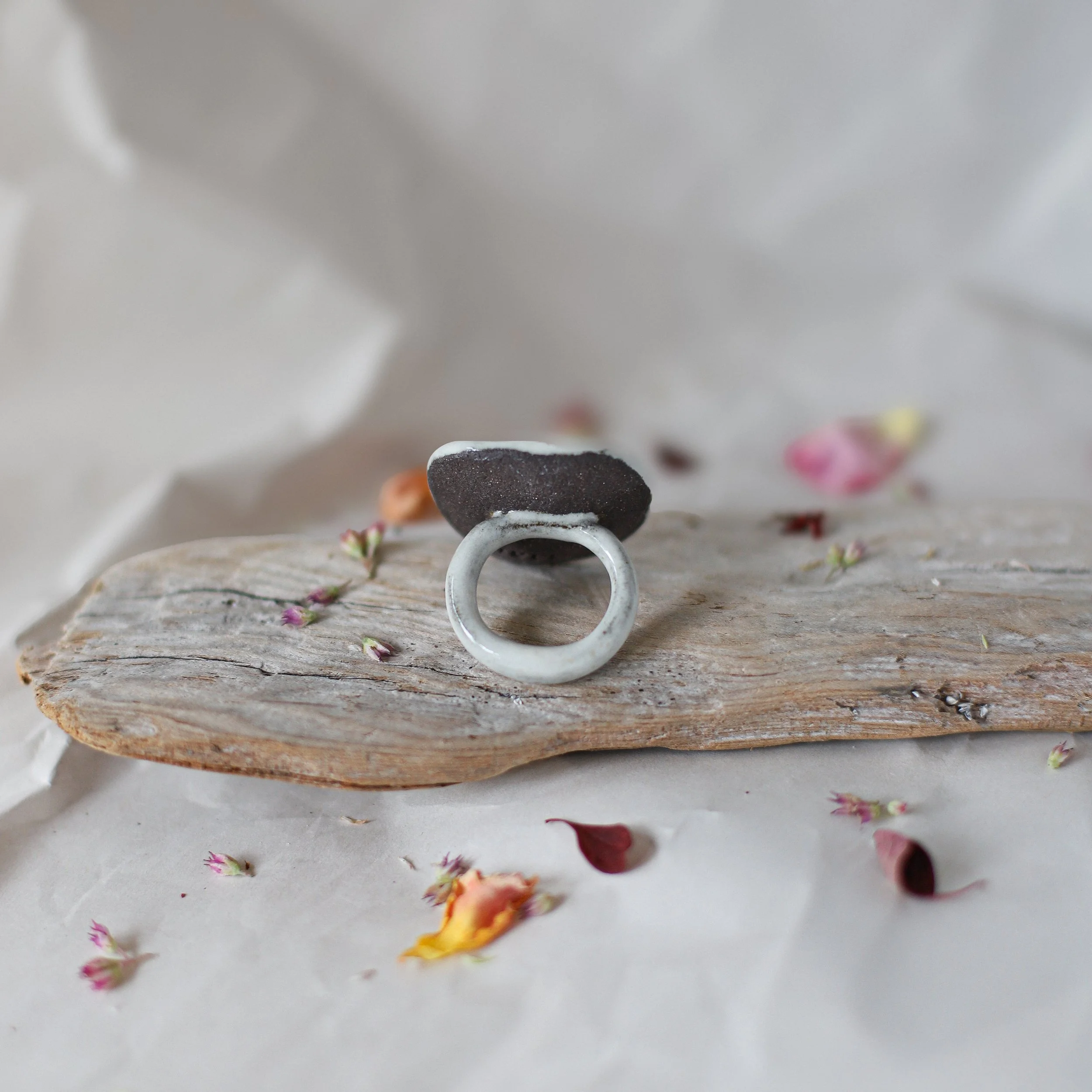 HULI_rings_fall2026-12.jpg