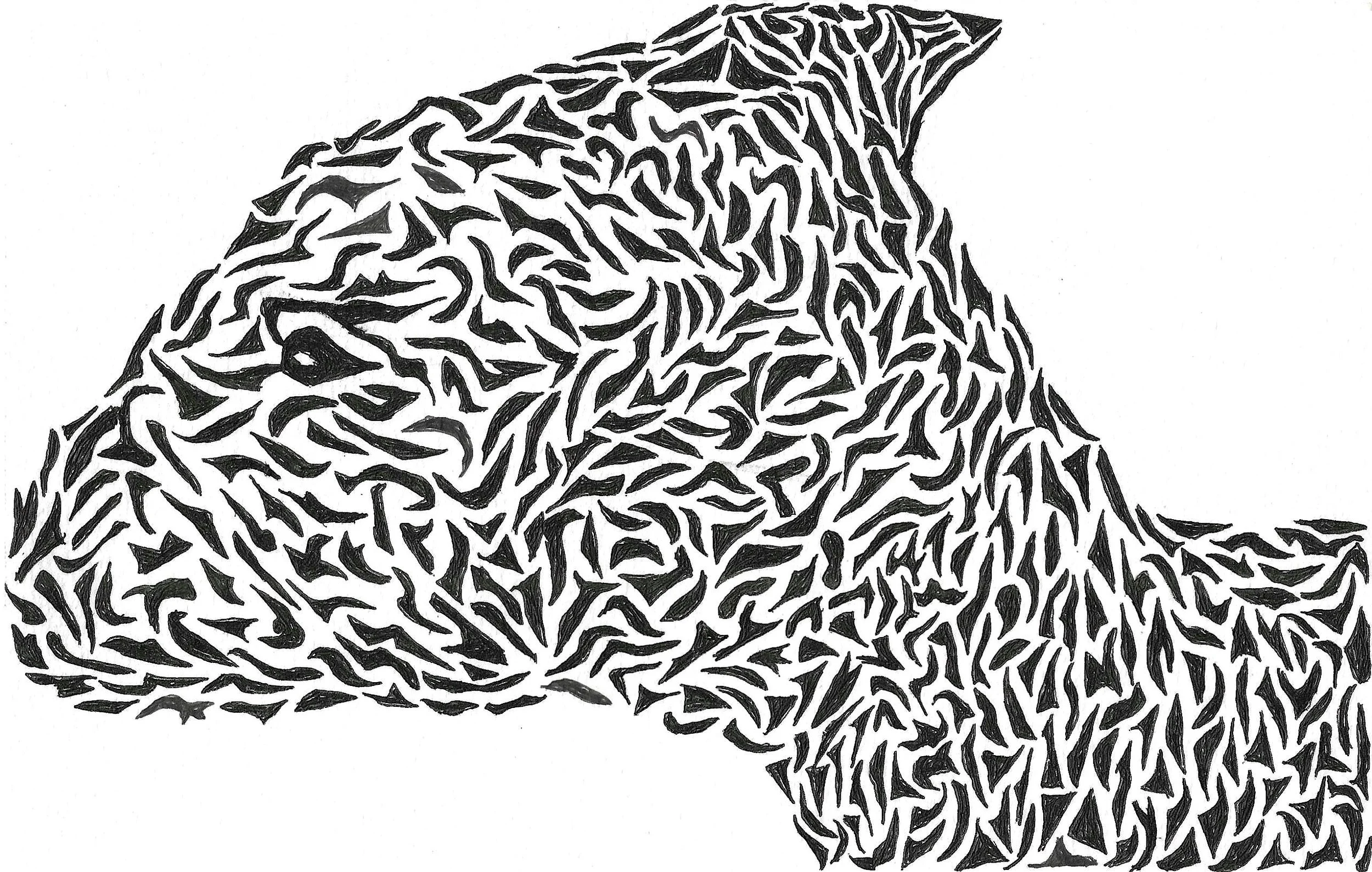 Zebra, Disordered & Disconnected, 8.5x5.5