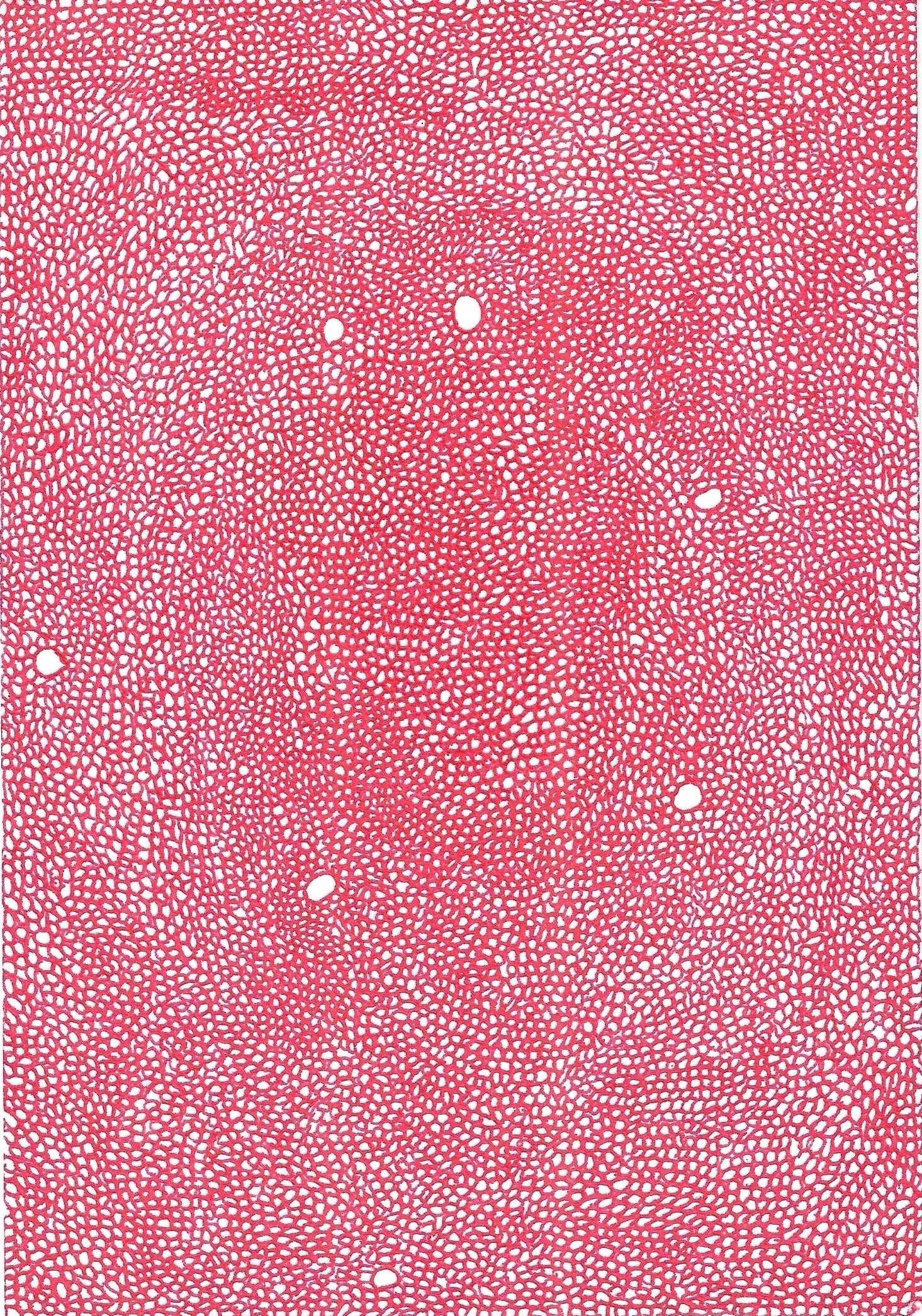 A Last Few Holdouts, 5x7