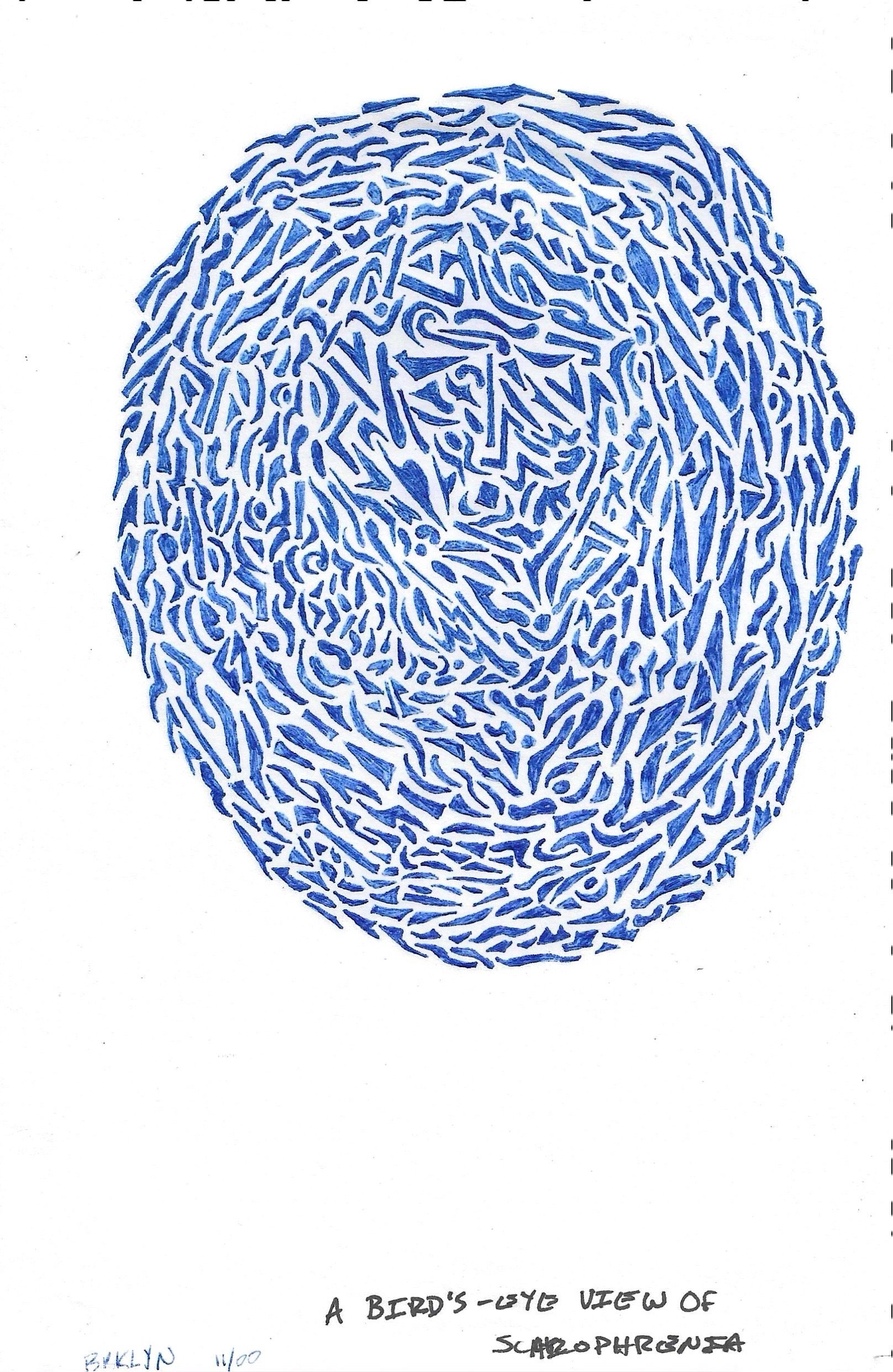 Bird’s Eye View of Schizophrenia, 5 x 8.5
