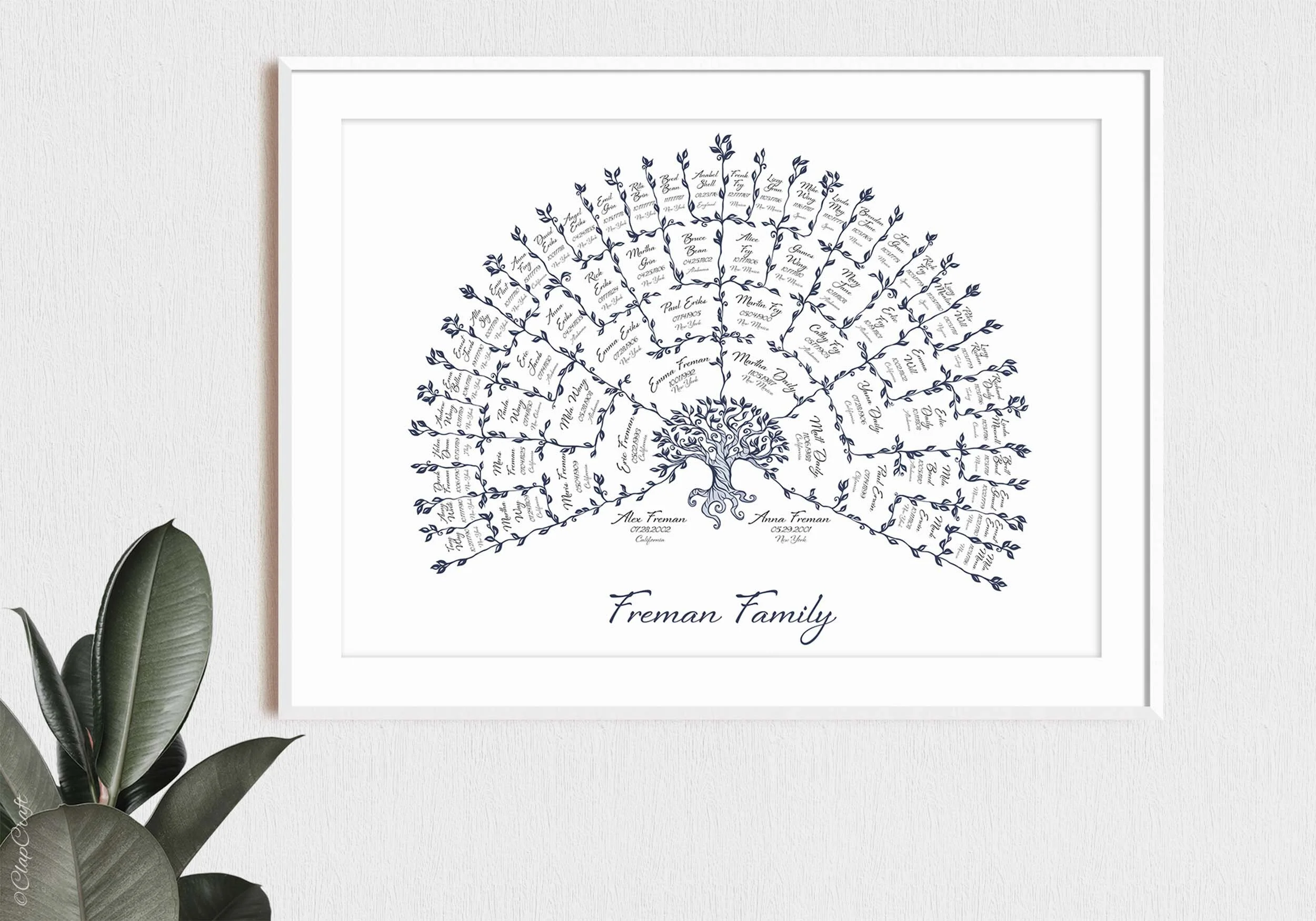 Scandinavian Family Tree in blue and white colours displays family history of 6 generations