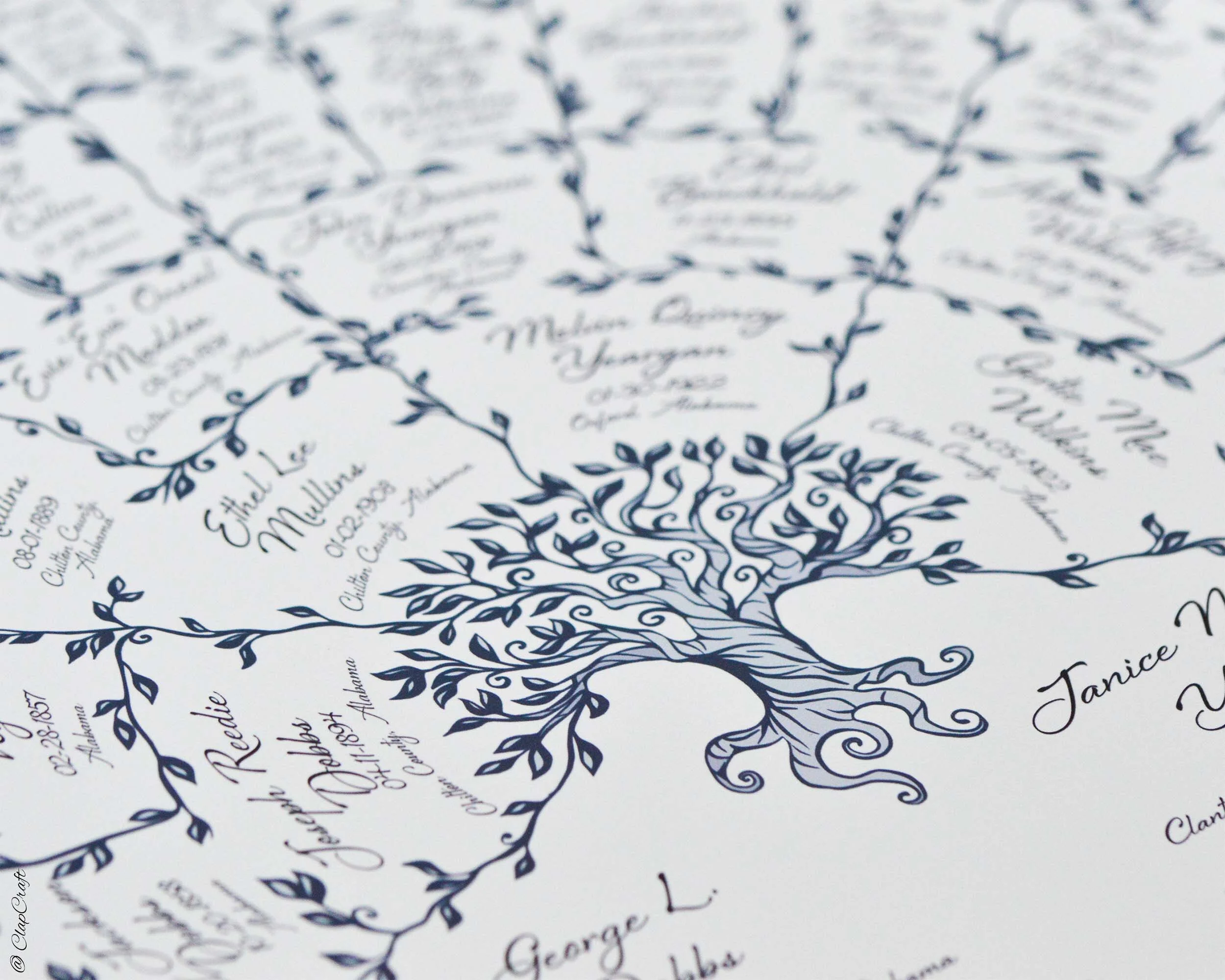 Close up look at the printed family tree template